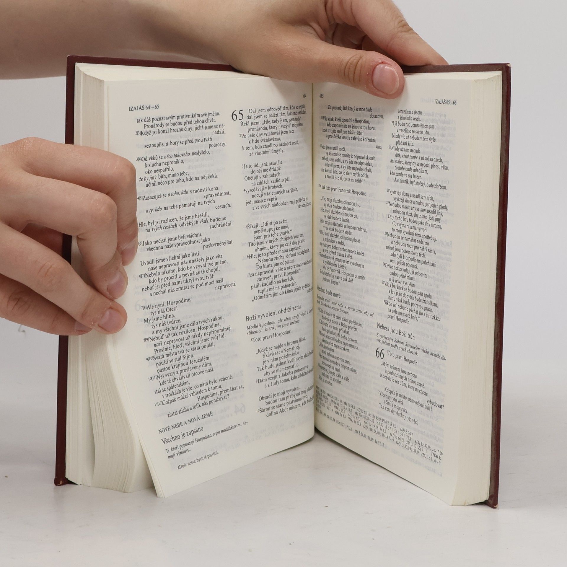 Kolektiv autorů Bible : písmo svaté Starého a Nového zákona : český ekumenický překlad