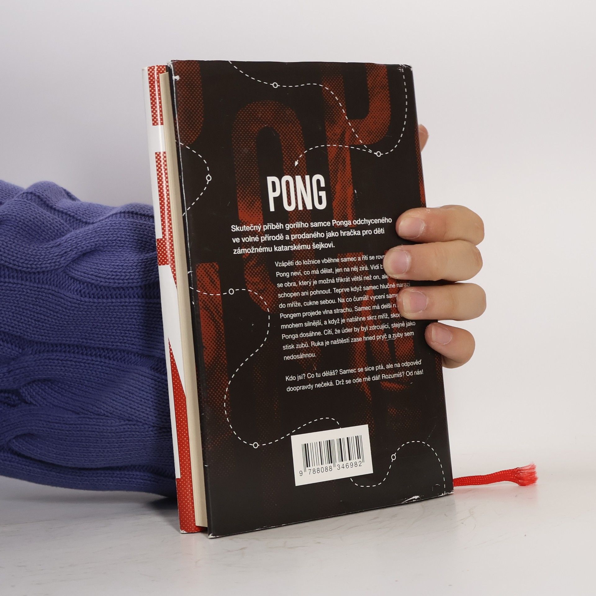 Jindřich Rohlík Pong