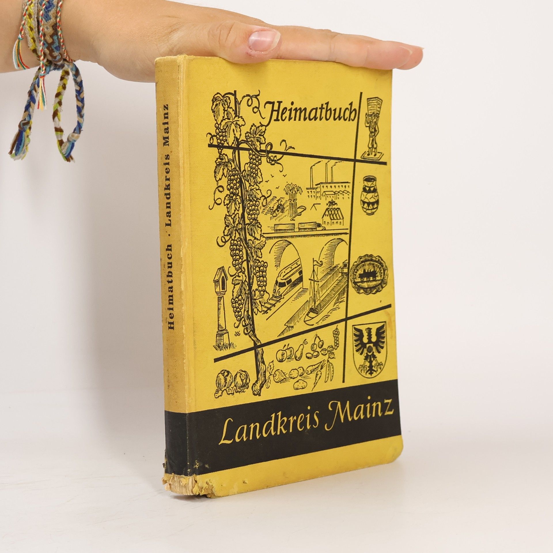Heimatbuch Landkreis Mainz