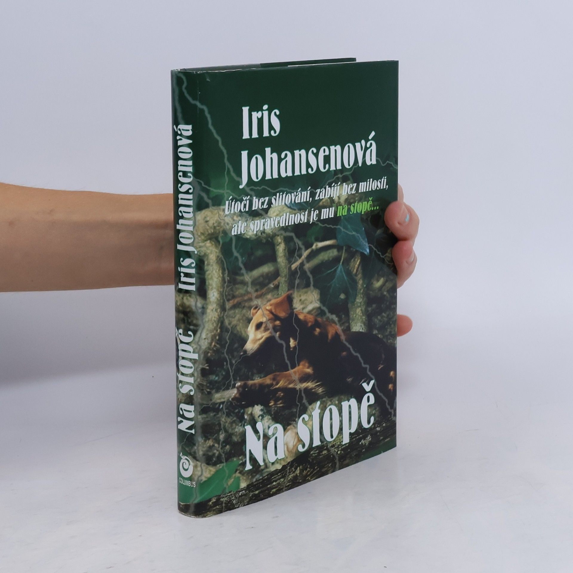 Iris Johansen Na stopě