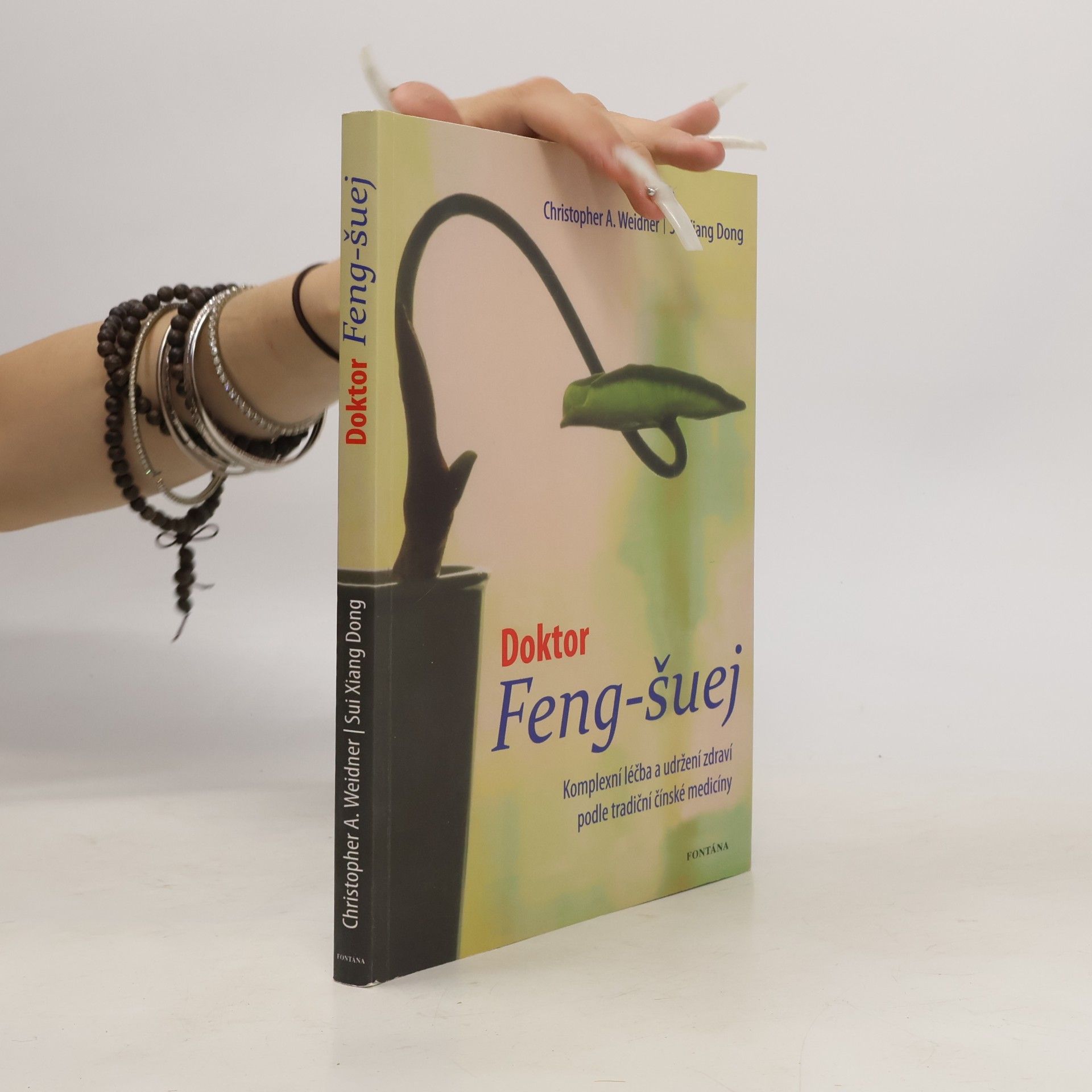 Xiangdong Sui Doktor Feng-šuej: komplexní léčba a udržení zdraví podle tradiční čínské medicíny