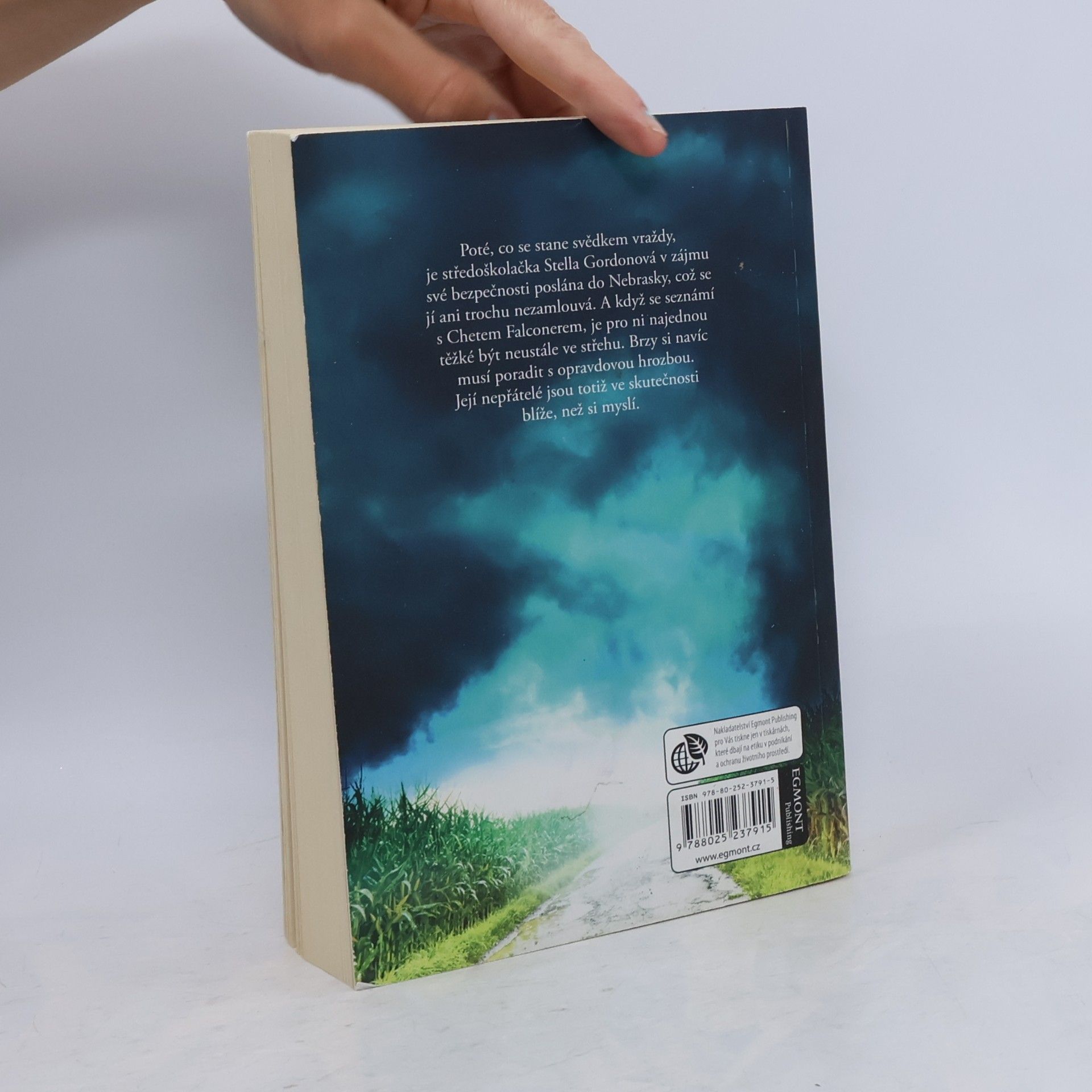 Becca Fitzpatrick Nebezpečné lži