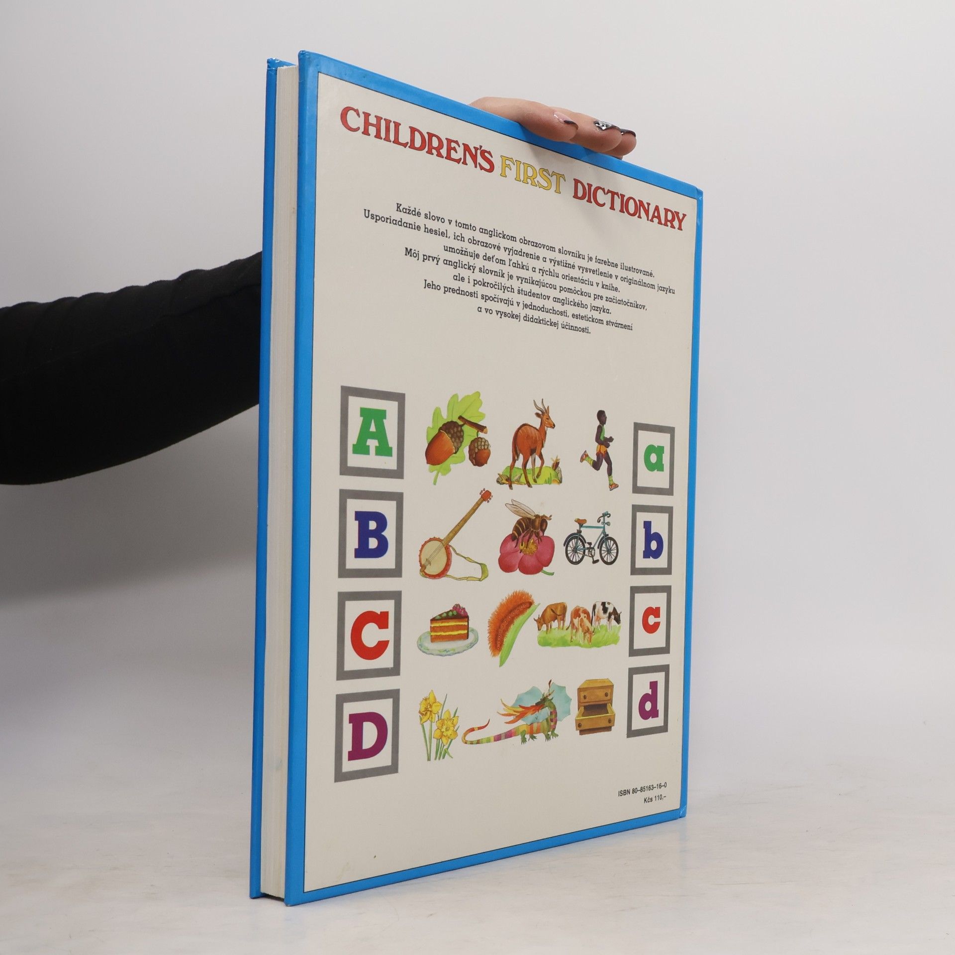 Autorenkollektiv Children's First Dictionary. Môj prvý anglický slovník