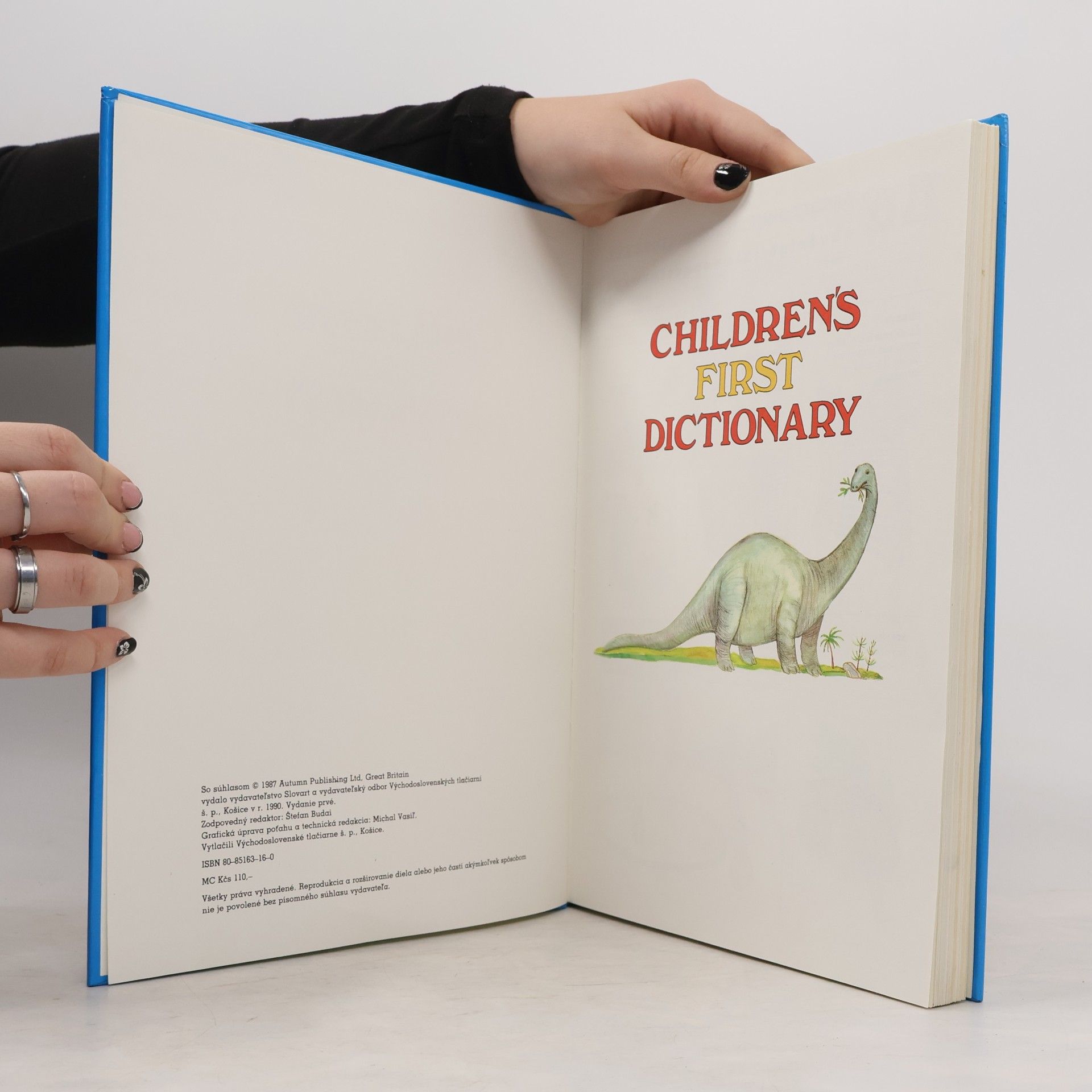 Autorenkollektiv Children's First Dictionary. Môj prvý anglický slovník
