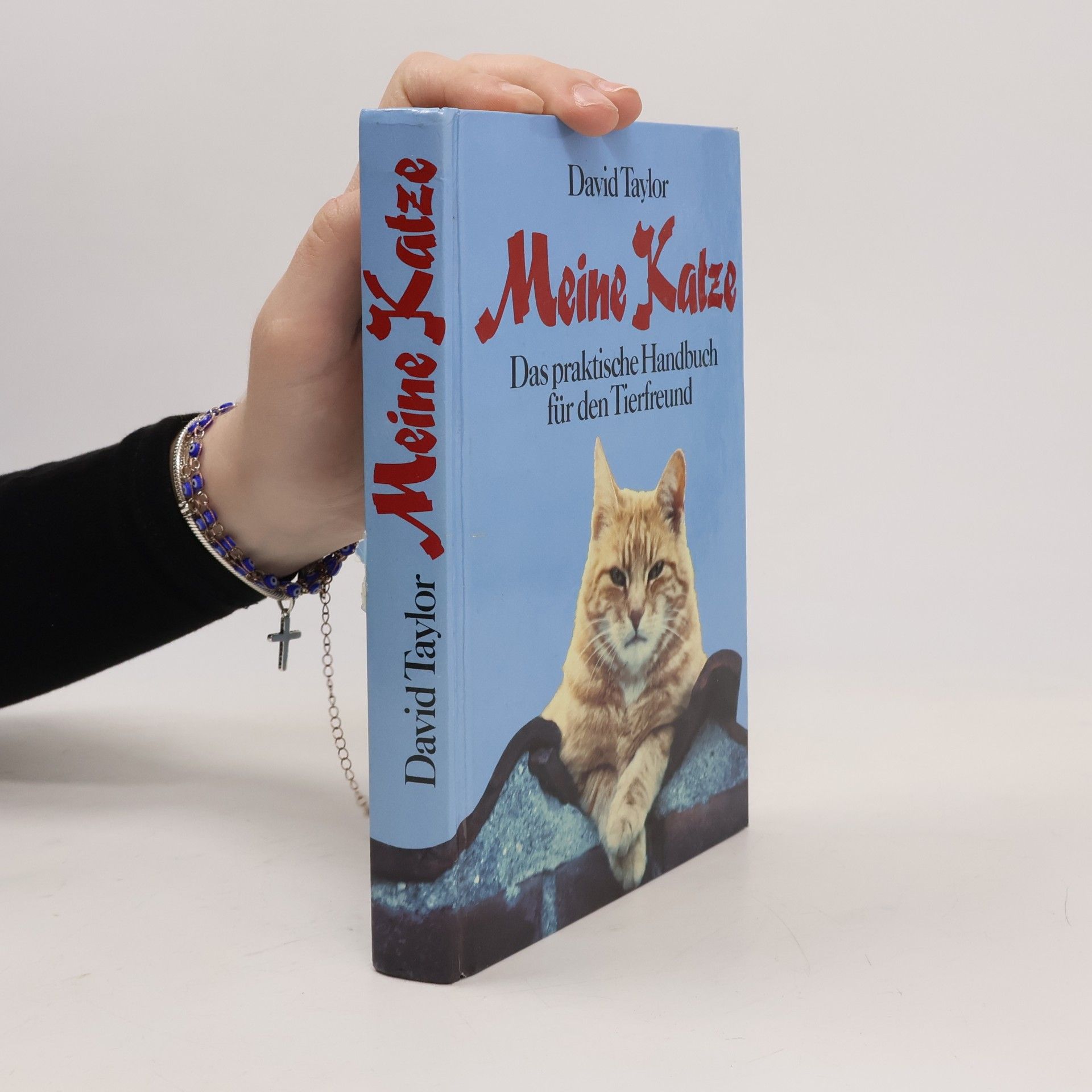 David Conrad Taylor Meine Katze