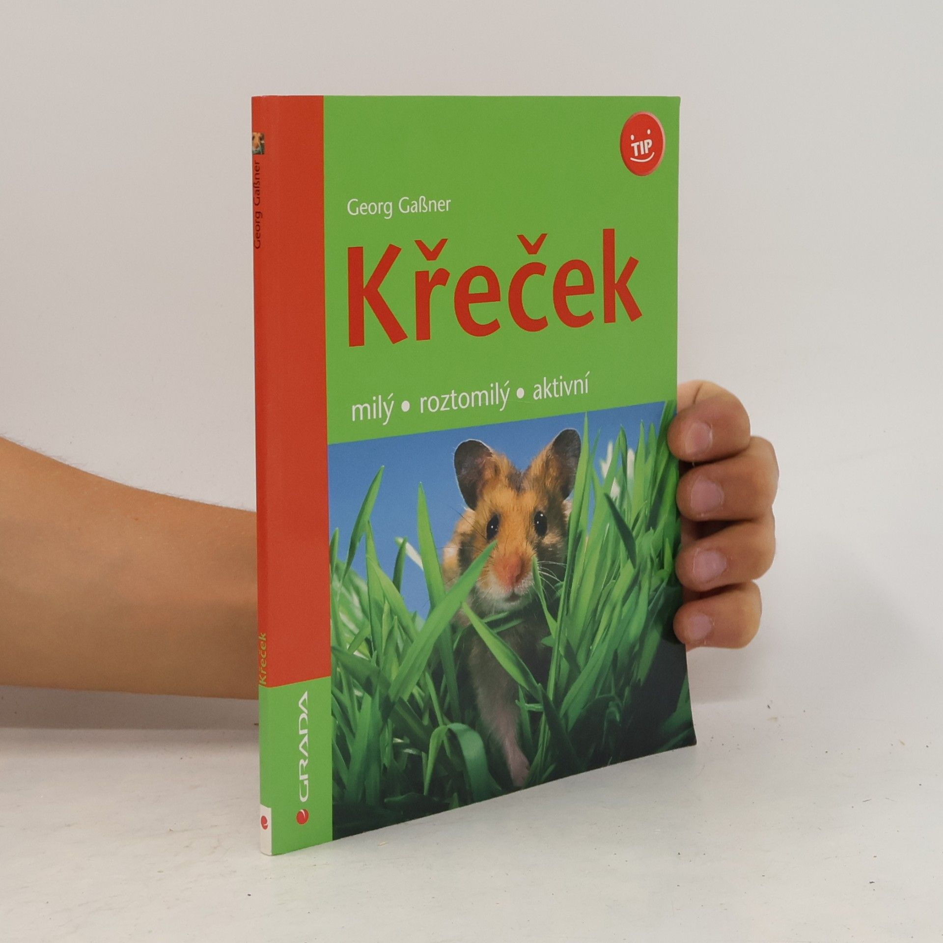 Křeček : milý, roztomilý, aktivní