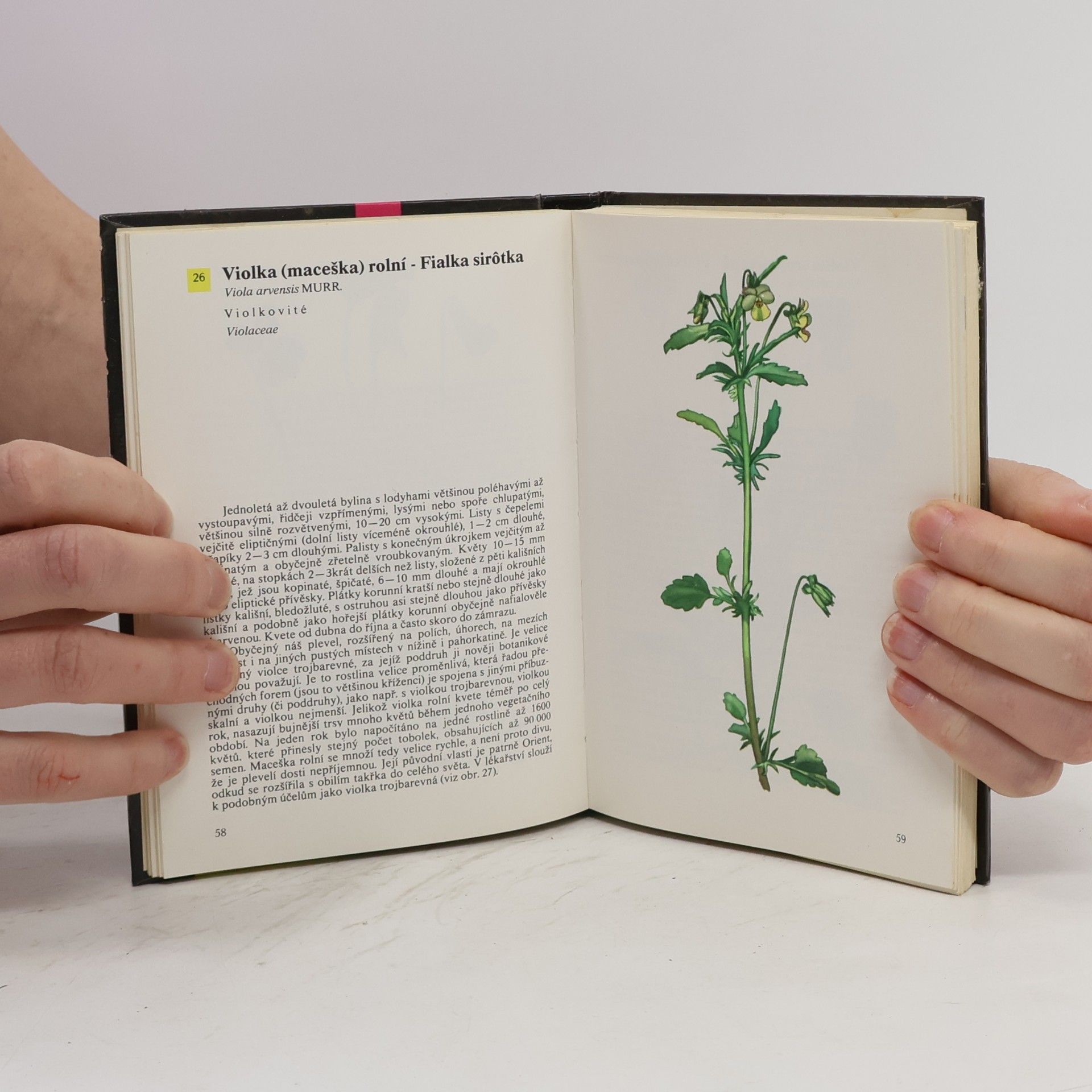 Otto Ušák Kapesní atlas rostlin