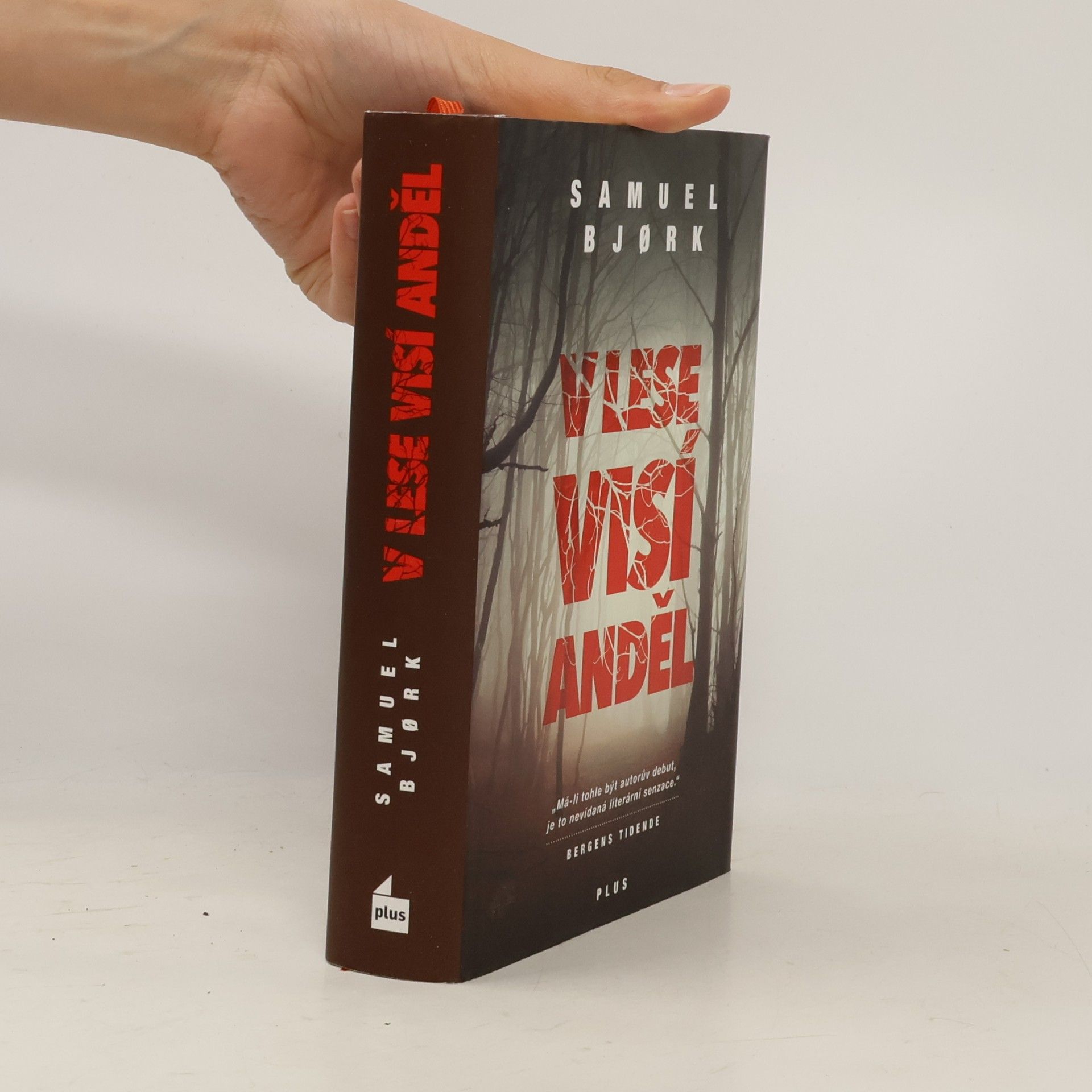 Samuel Bjork V lese visí anděl
