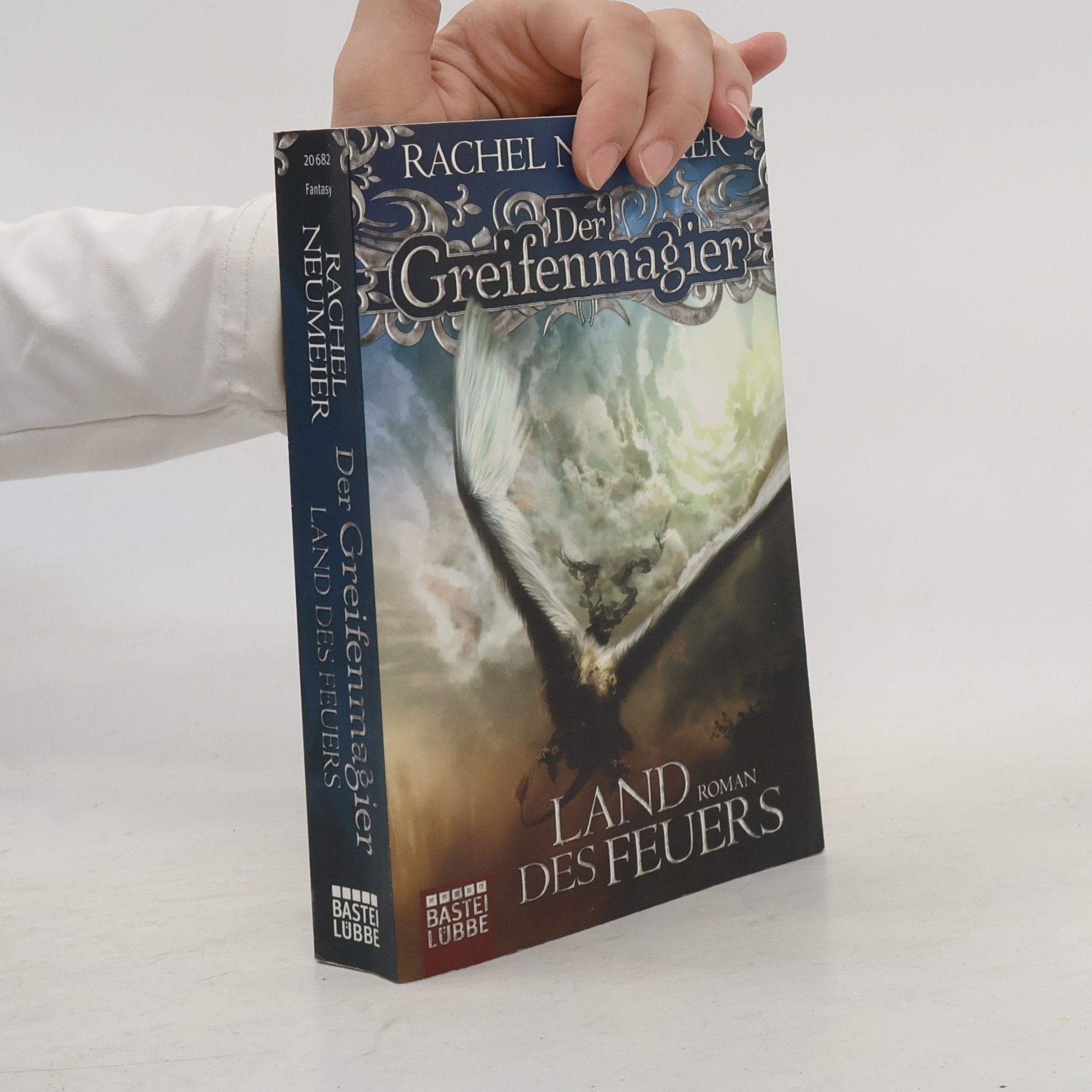 Thomas Schichtel Der Greifenmagier - Land des Feuers. Roman