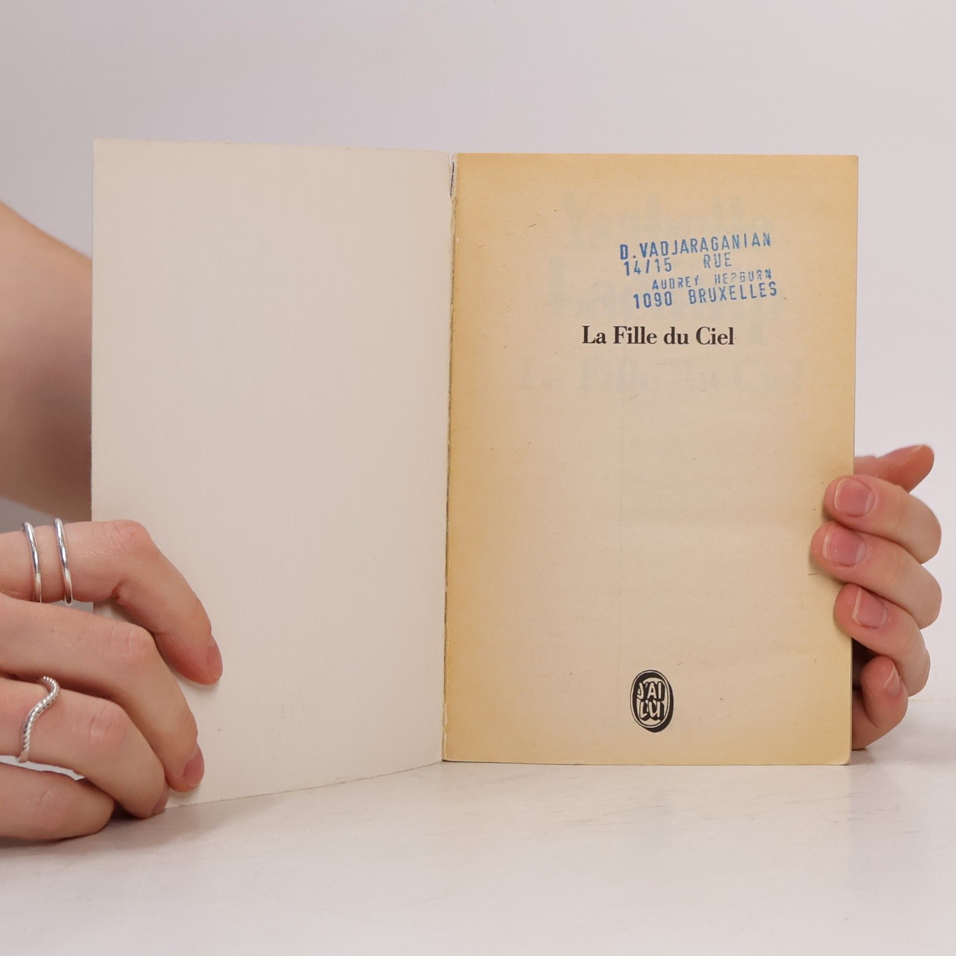 Ysabelle Lacamp La fille du ciel