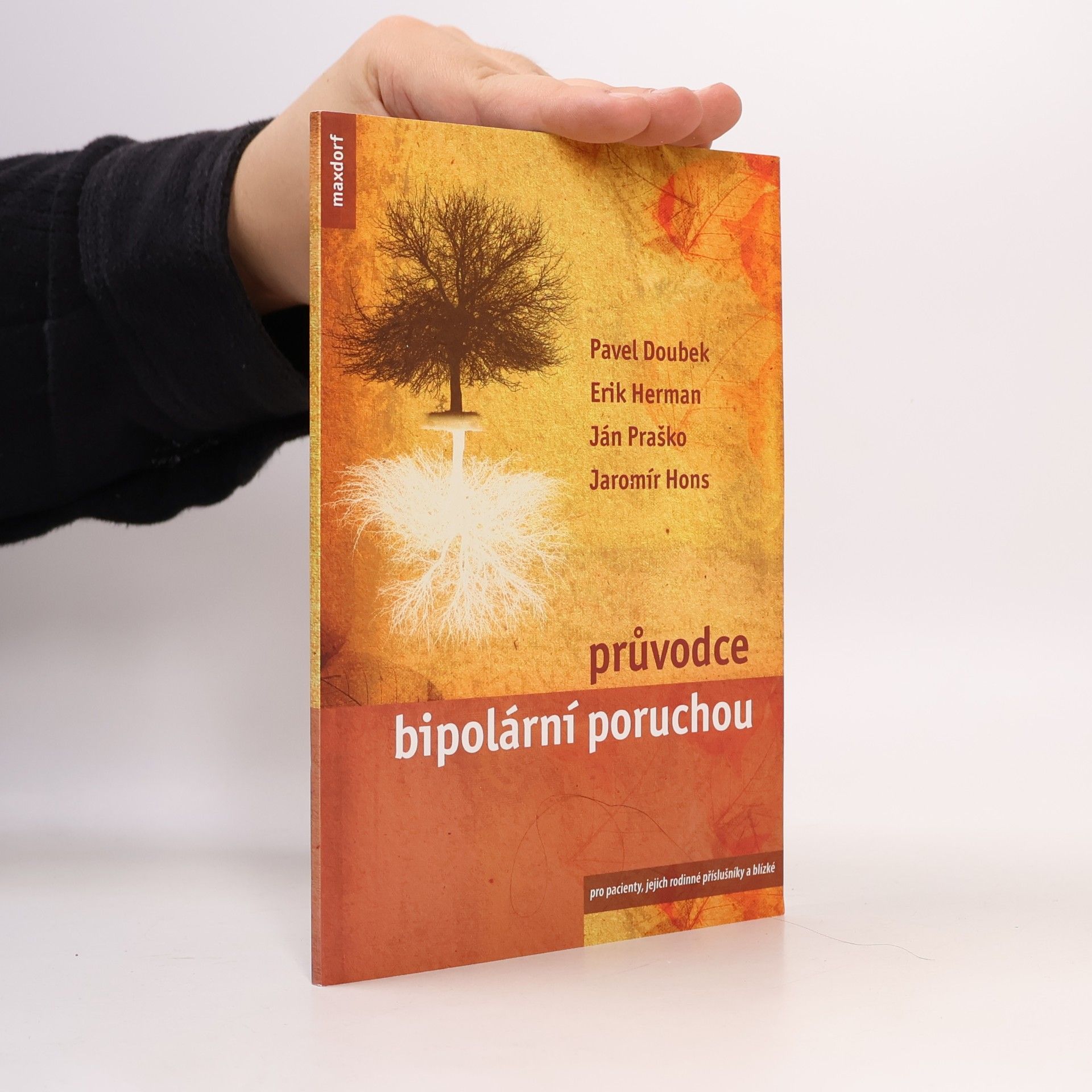 Erik Herman Průvodce bipolární poruchou