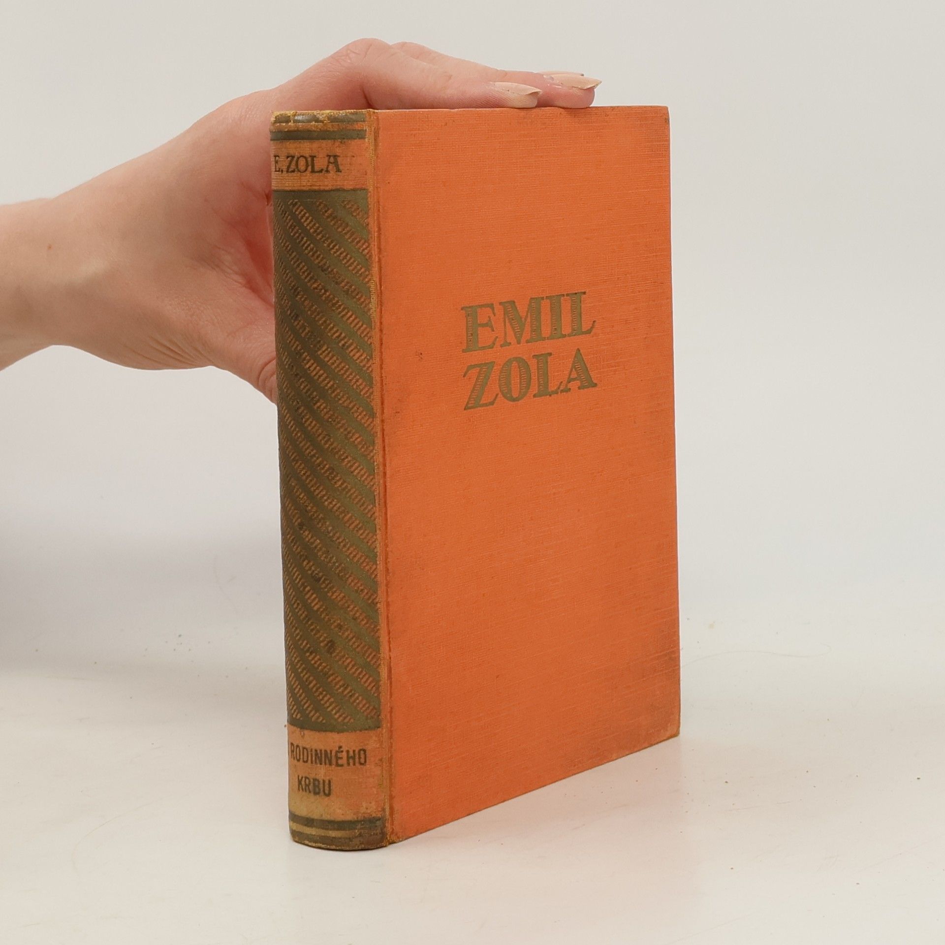 Émile Zola U rodinného krbu