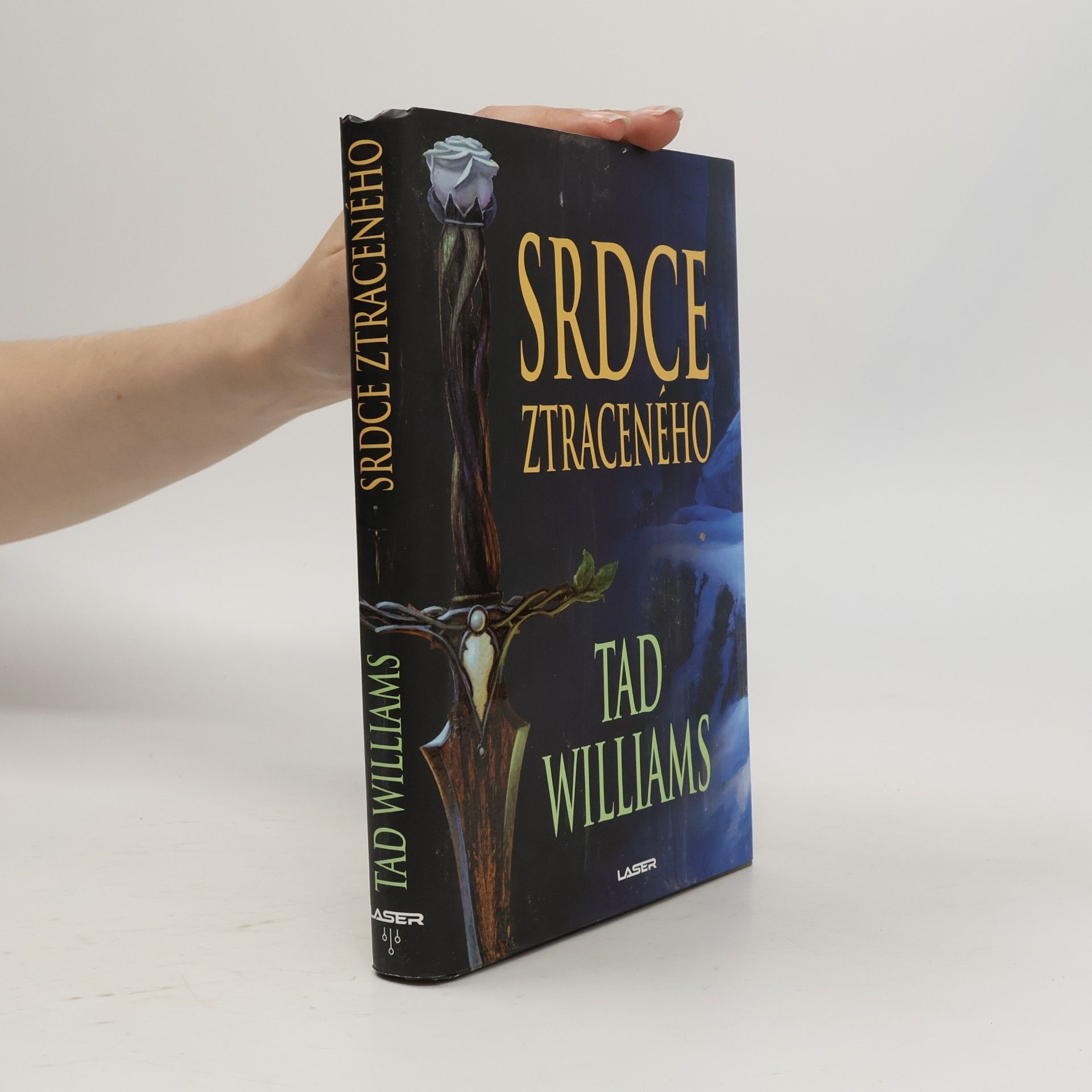 Tad Williams Srdce ztraceného
