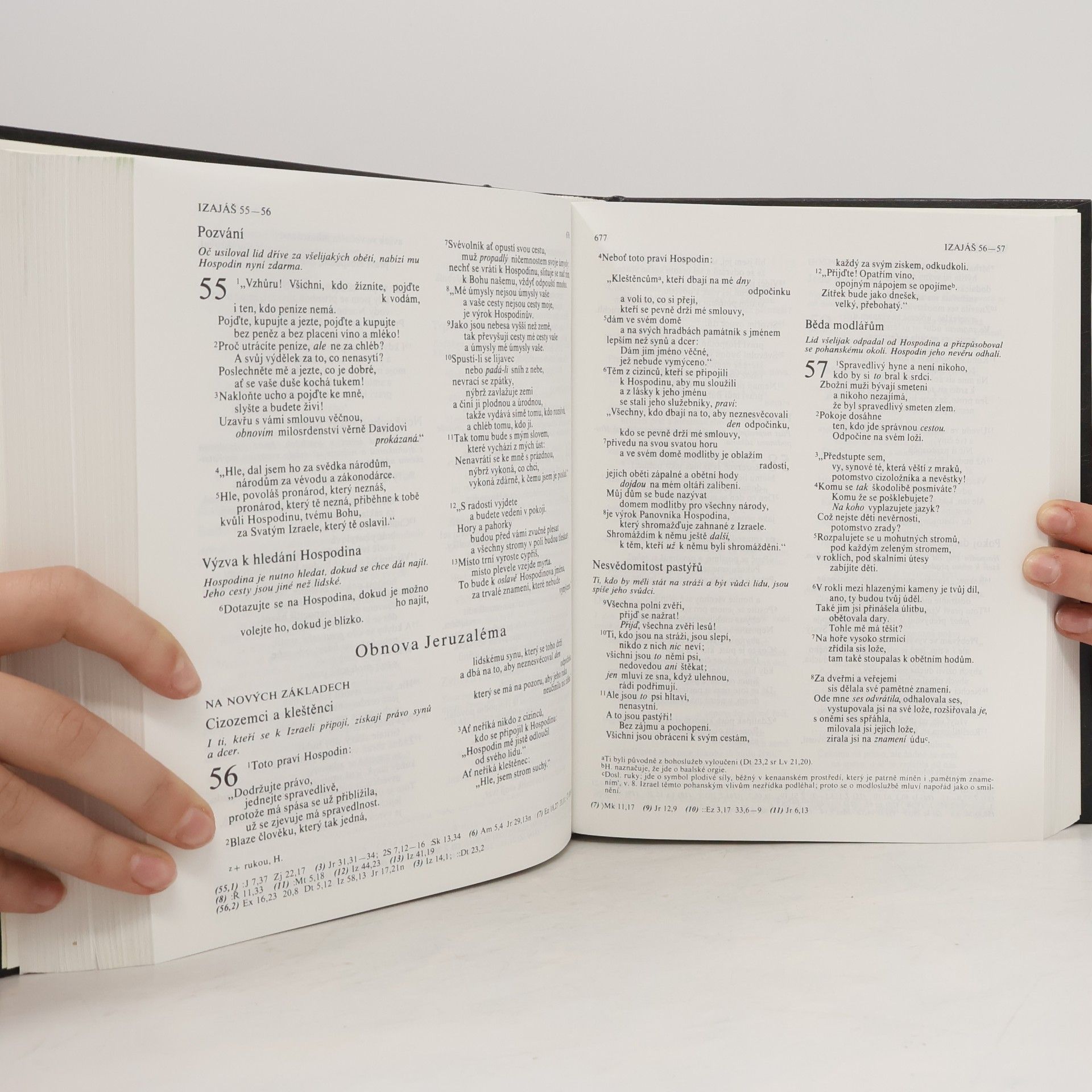 Kolektiv autorů Bible: Písmo svaté Starého a Nového zákona