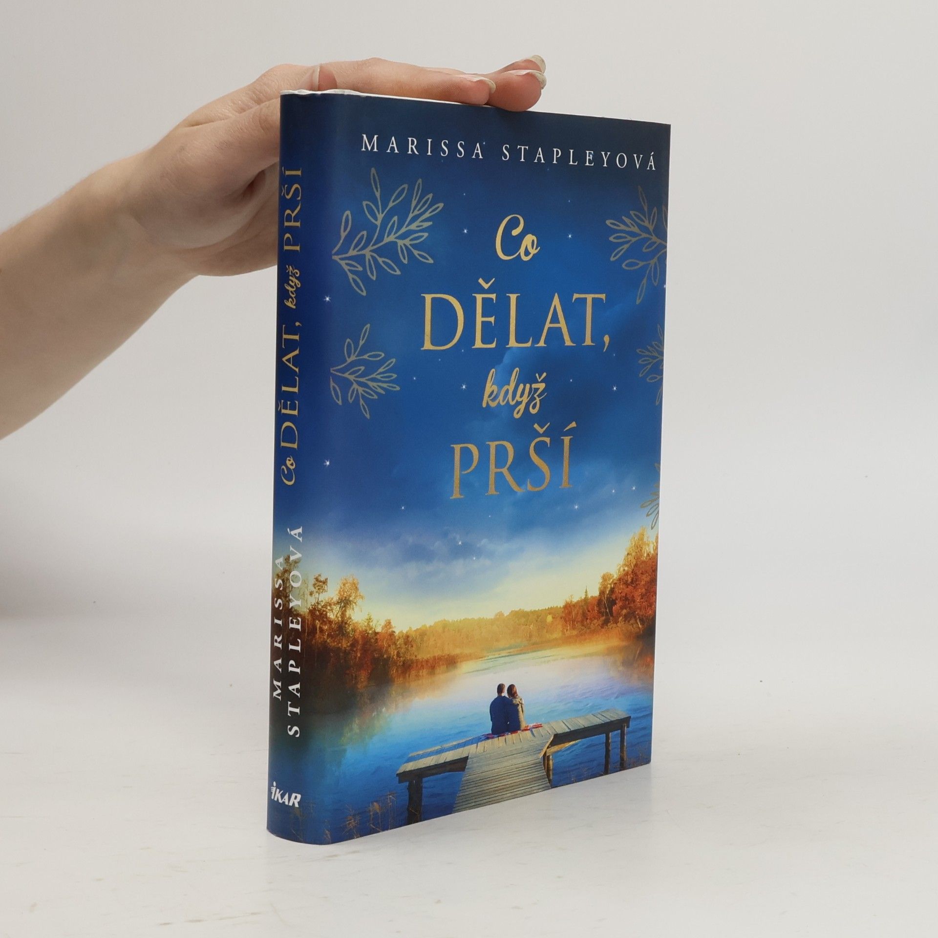 Co dělat, když prší
