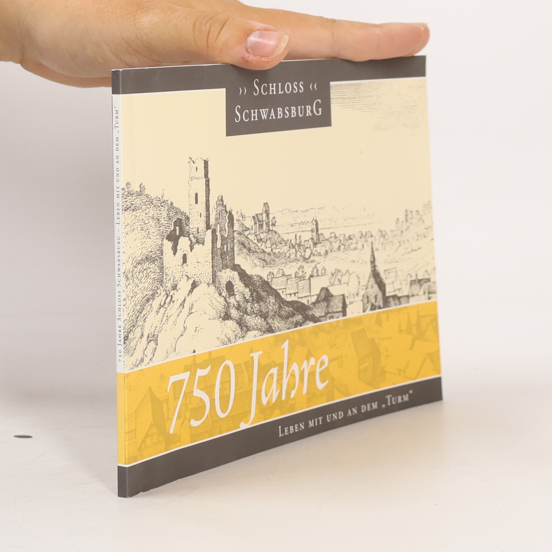 kolektiv 750 Jahre Schloss Schwabsburg
