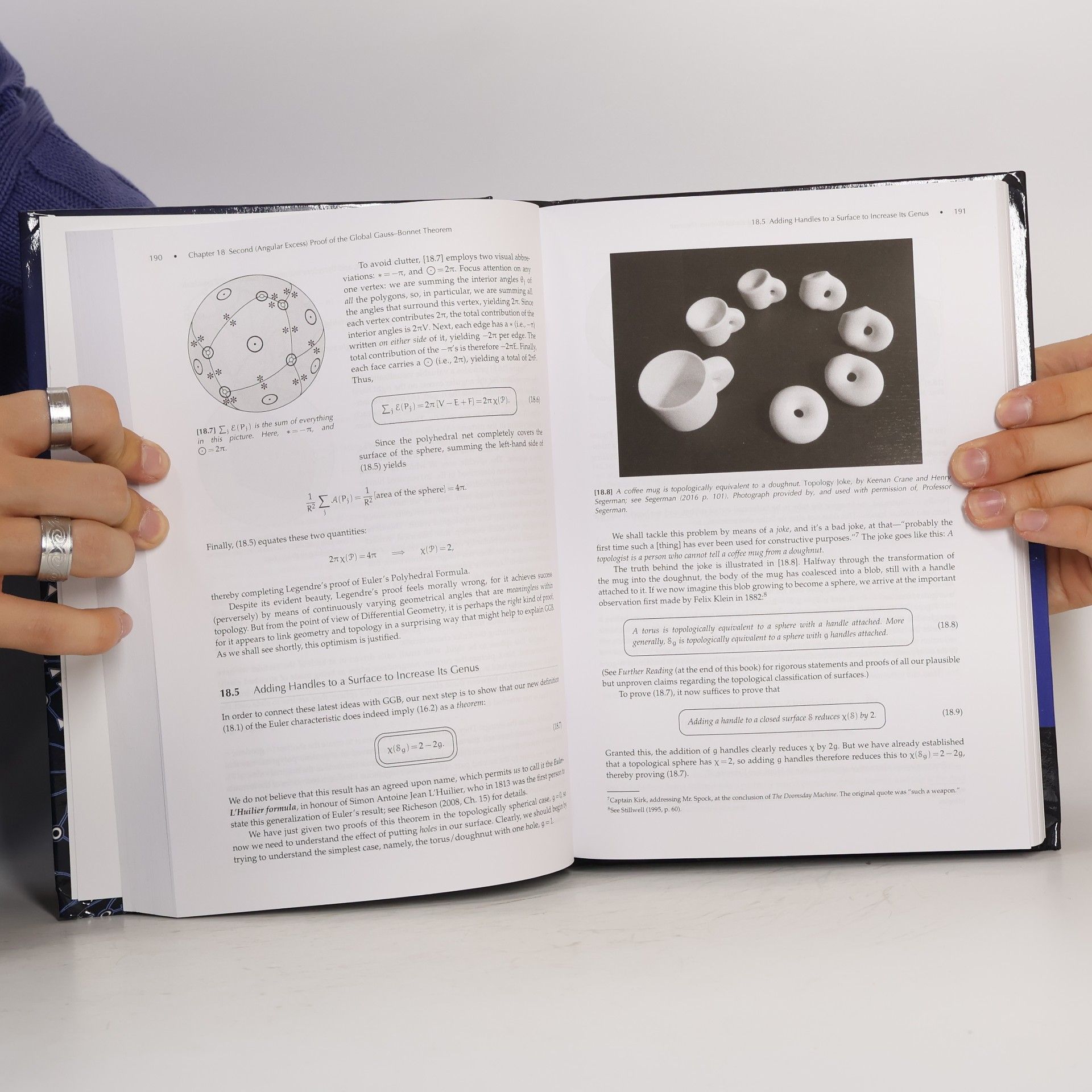Tristan Needham Visual Differential Geometry and Forms