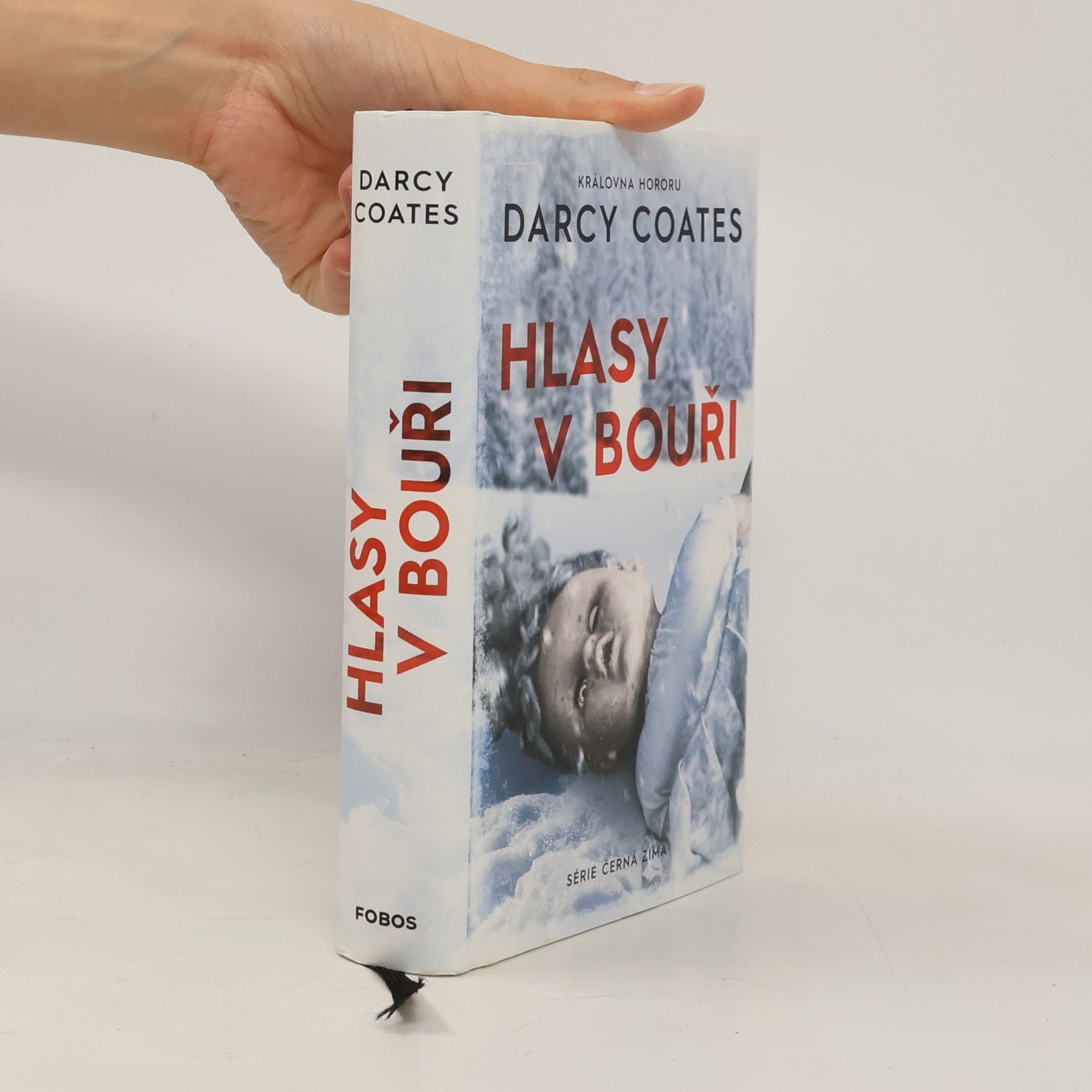 Darcy Coates Hlasy v bouři