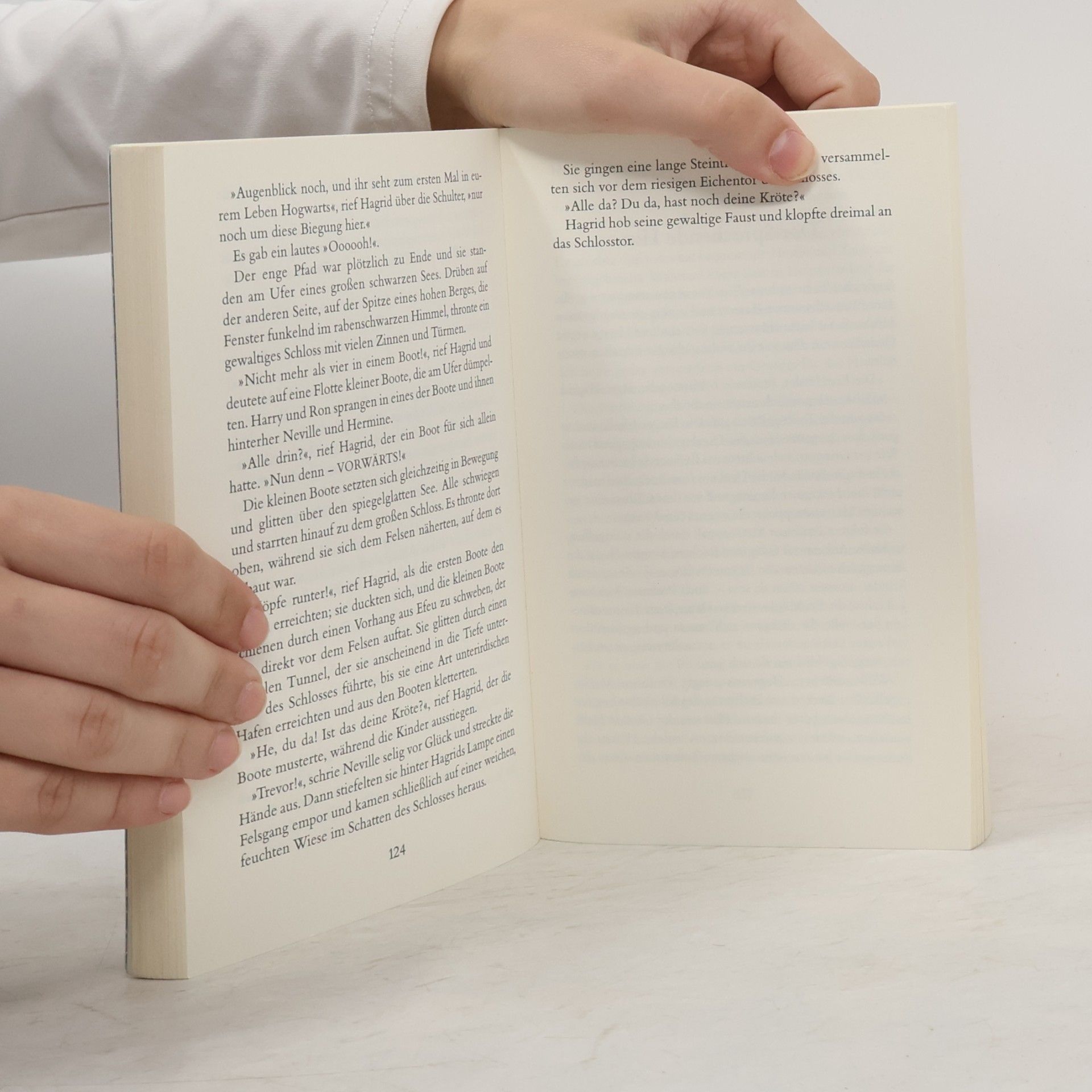 J. K. Rowling Harry Potter und der Stein der Weisen