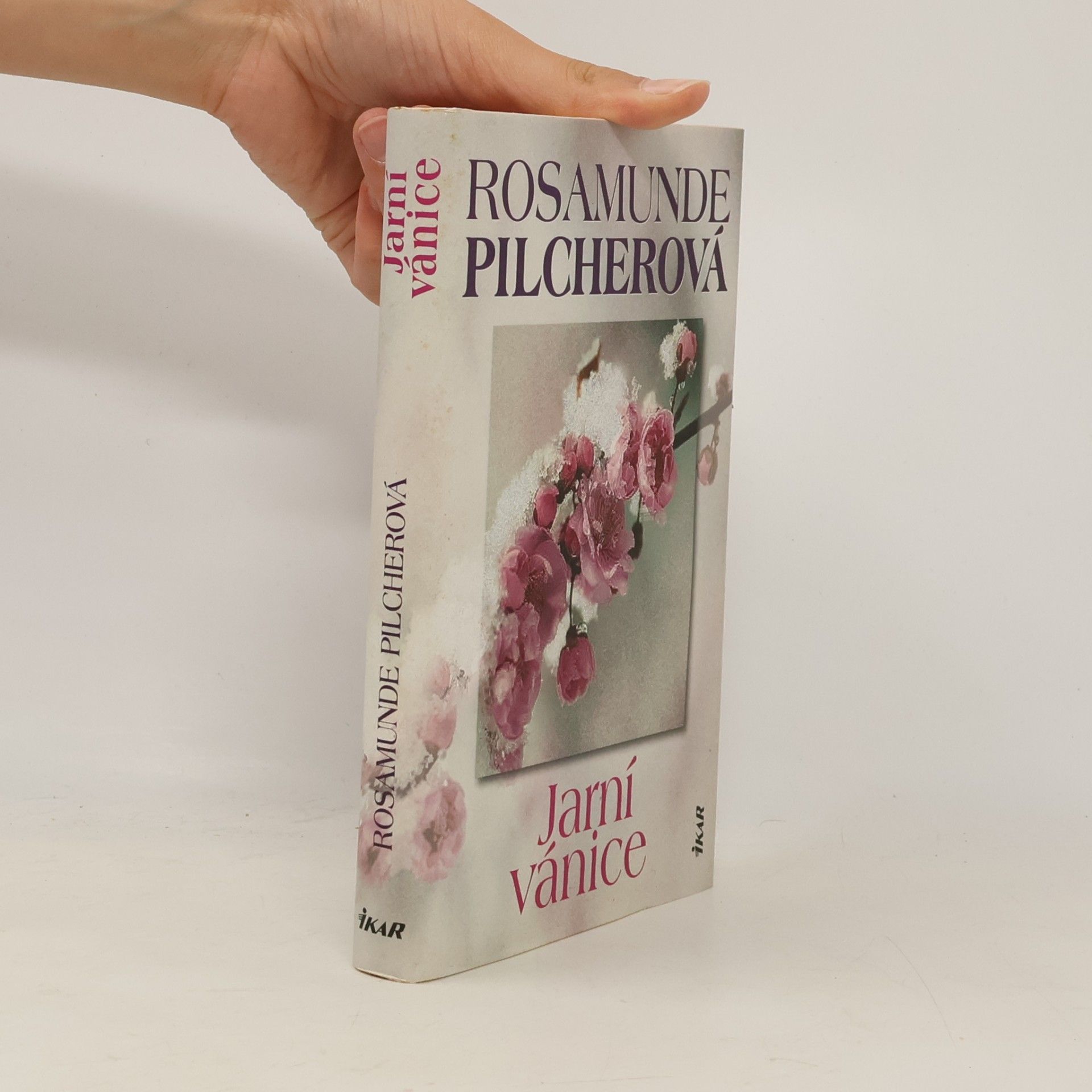 Rosamunde Pilcher Jarní vánice