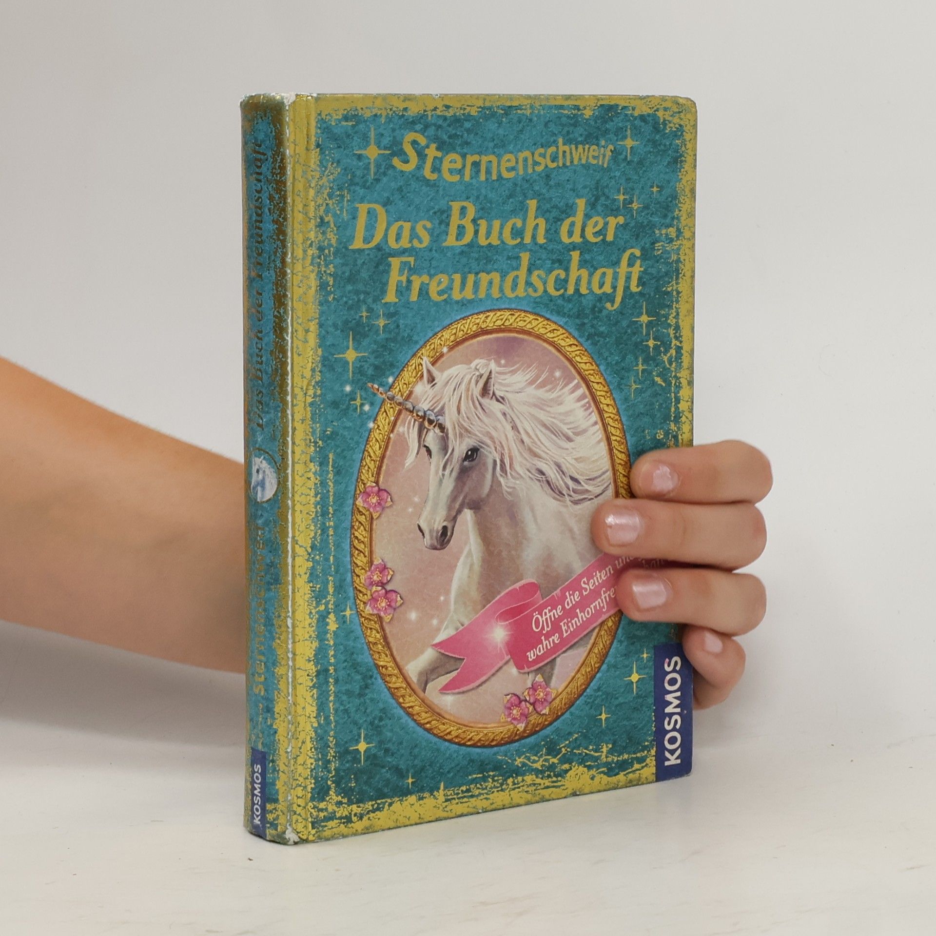 Linda Chapman Sternenschweif. Das Buch der Ferundschaft