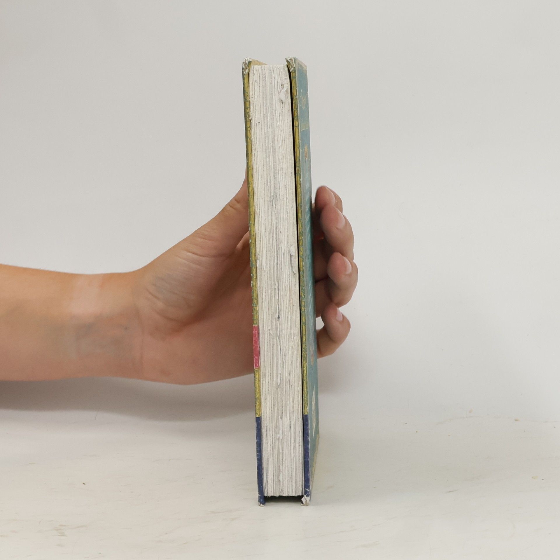 Linda Chapman Sternenschweif. Das Buch der Ferundschaft