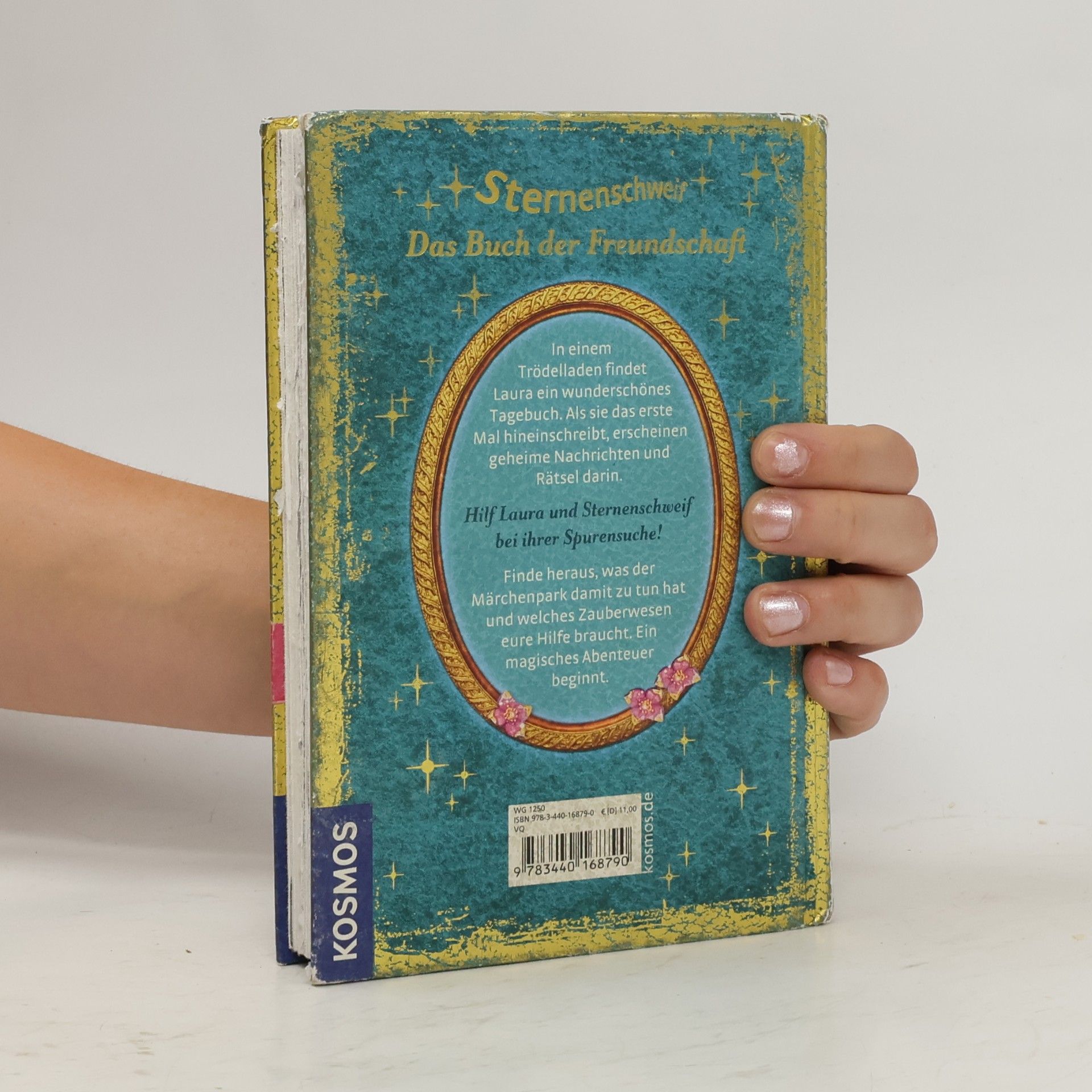Linda Chapman Sternenschweif. Das Buch der Ferundschaft