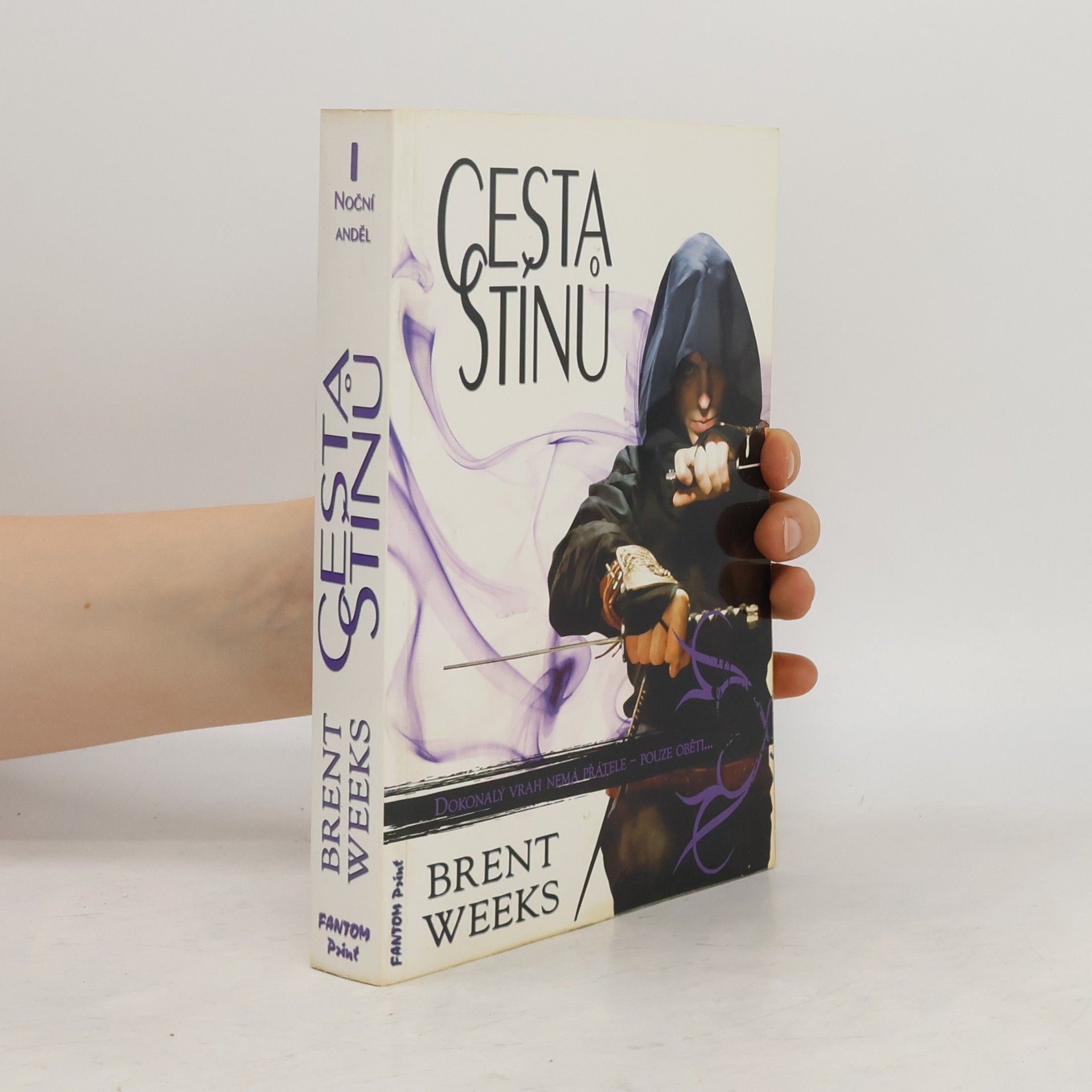 Brent Weeks Cesta stínů