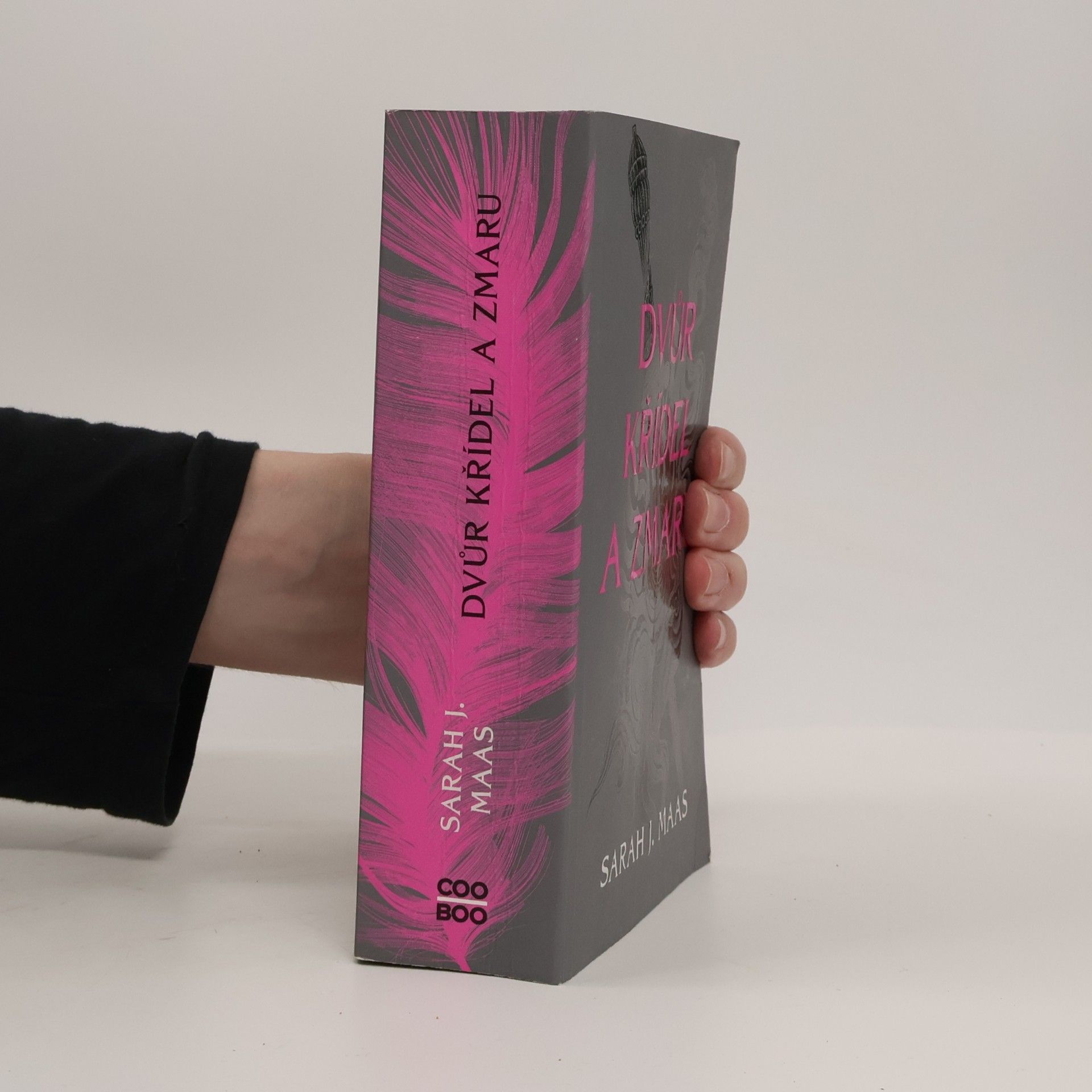Sarah J. Maas Dvůr křídel a zmaru