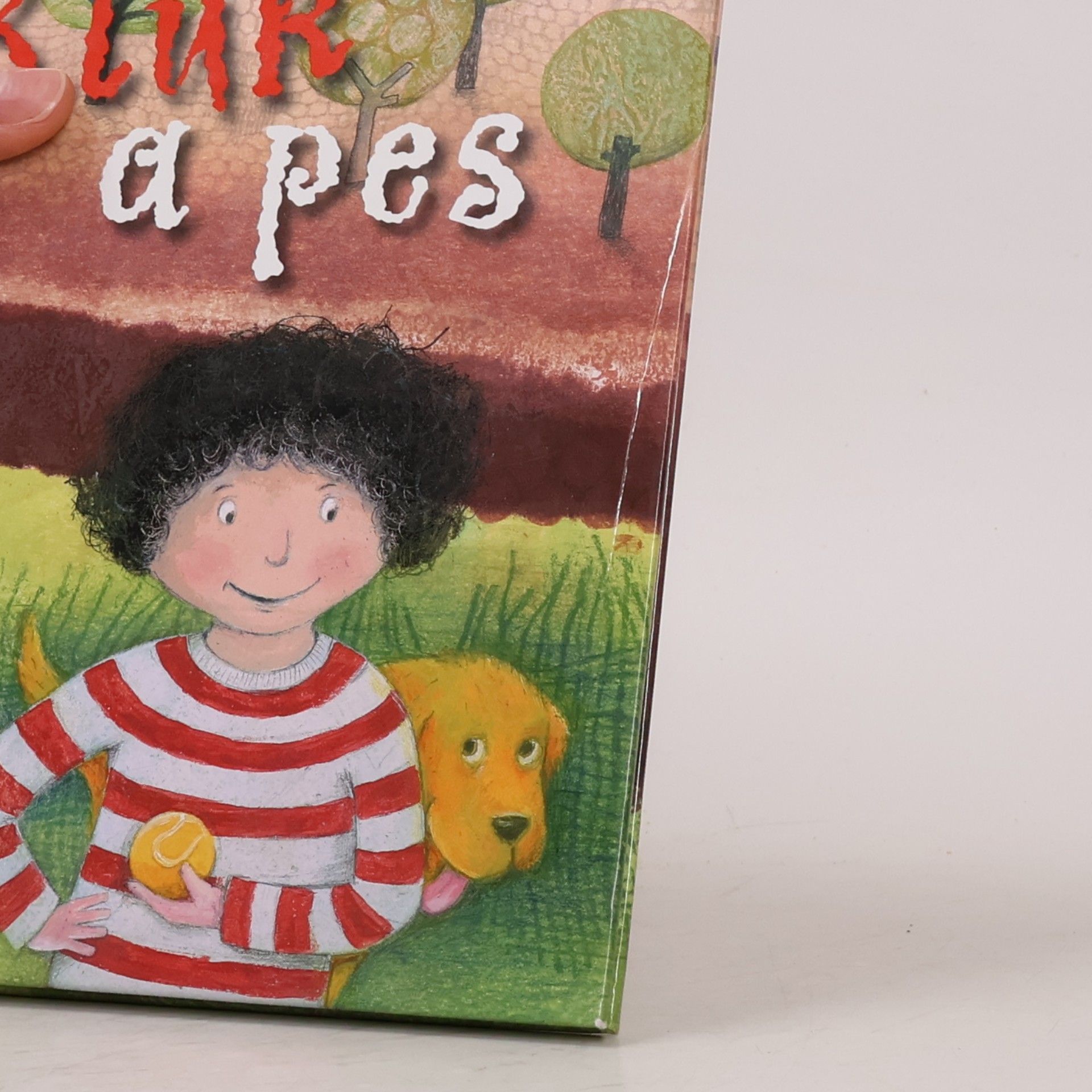 Ivona Březinová Kluk a pes