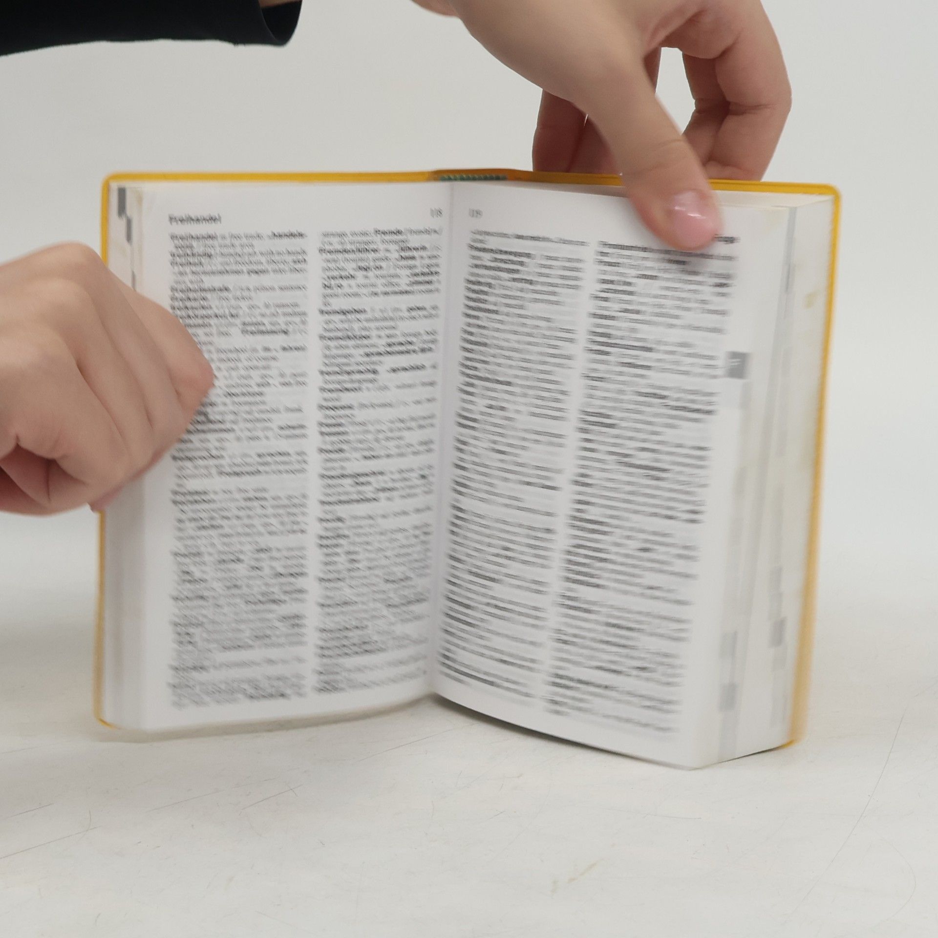 Langenscheidt's Pocket Dictionary German - New German Spelling
