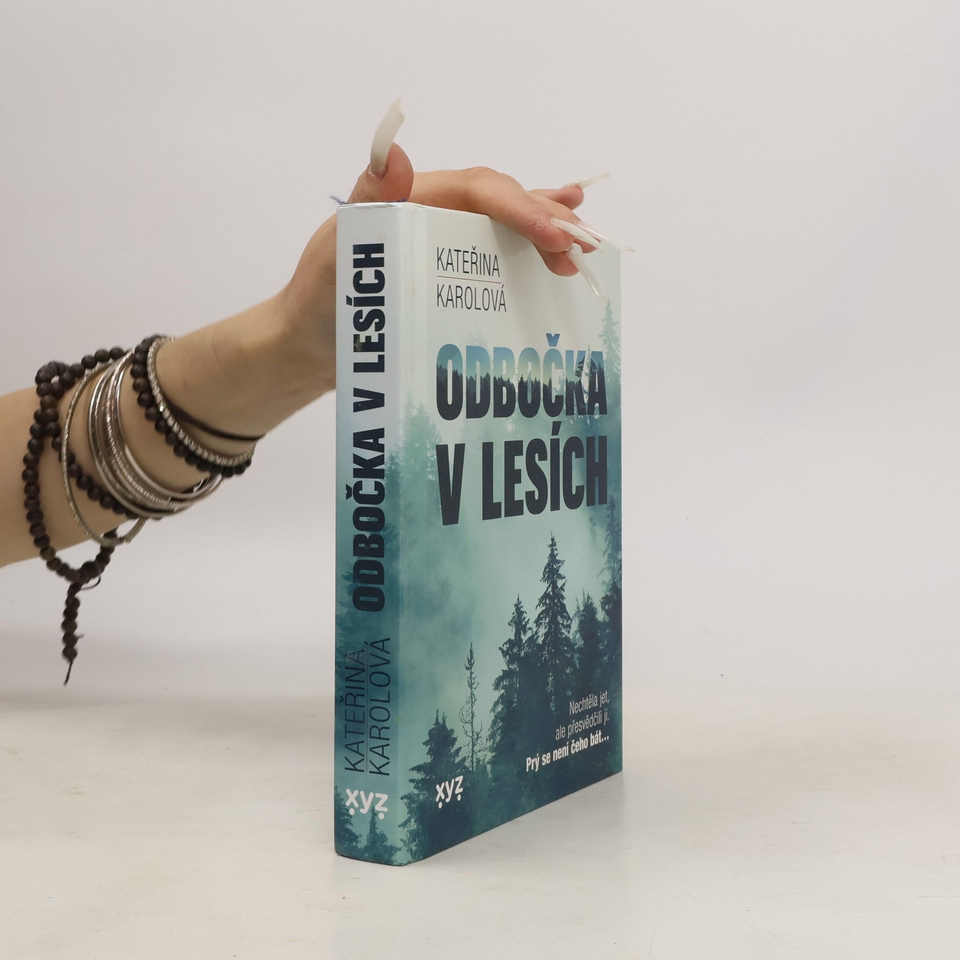 Kateřina Karolová Odbočka v lesích