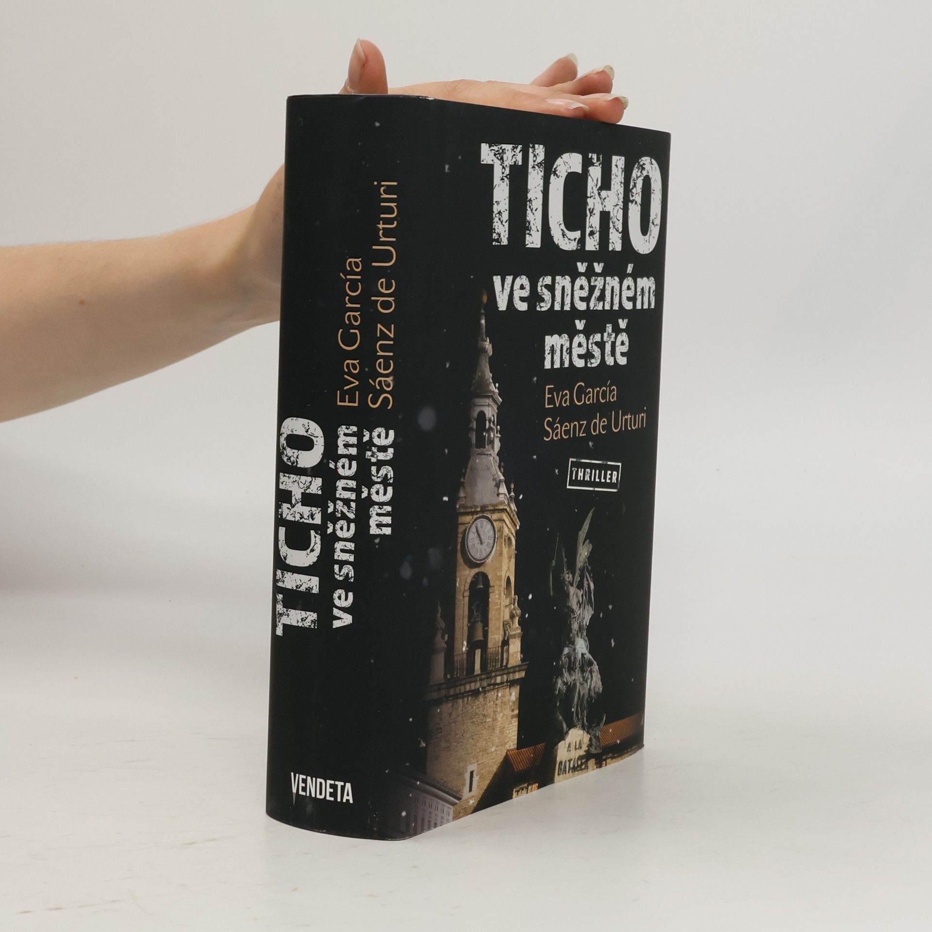 Eva García Sáenz Ticho ve sněžném městě