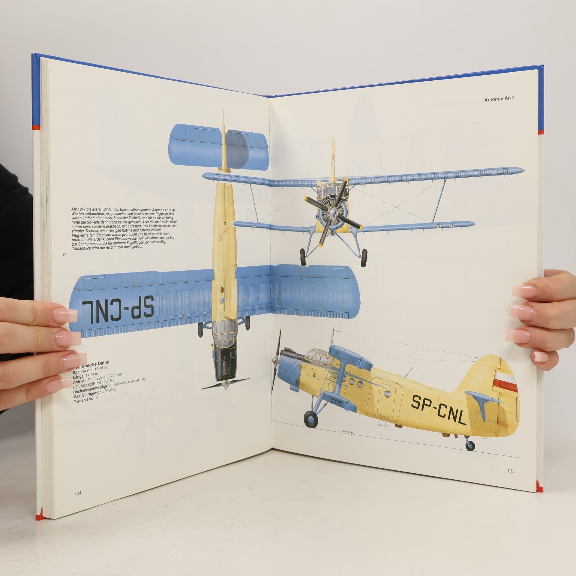 Gerald Nelsen Flugzeuge