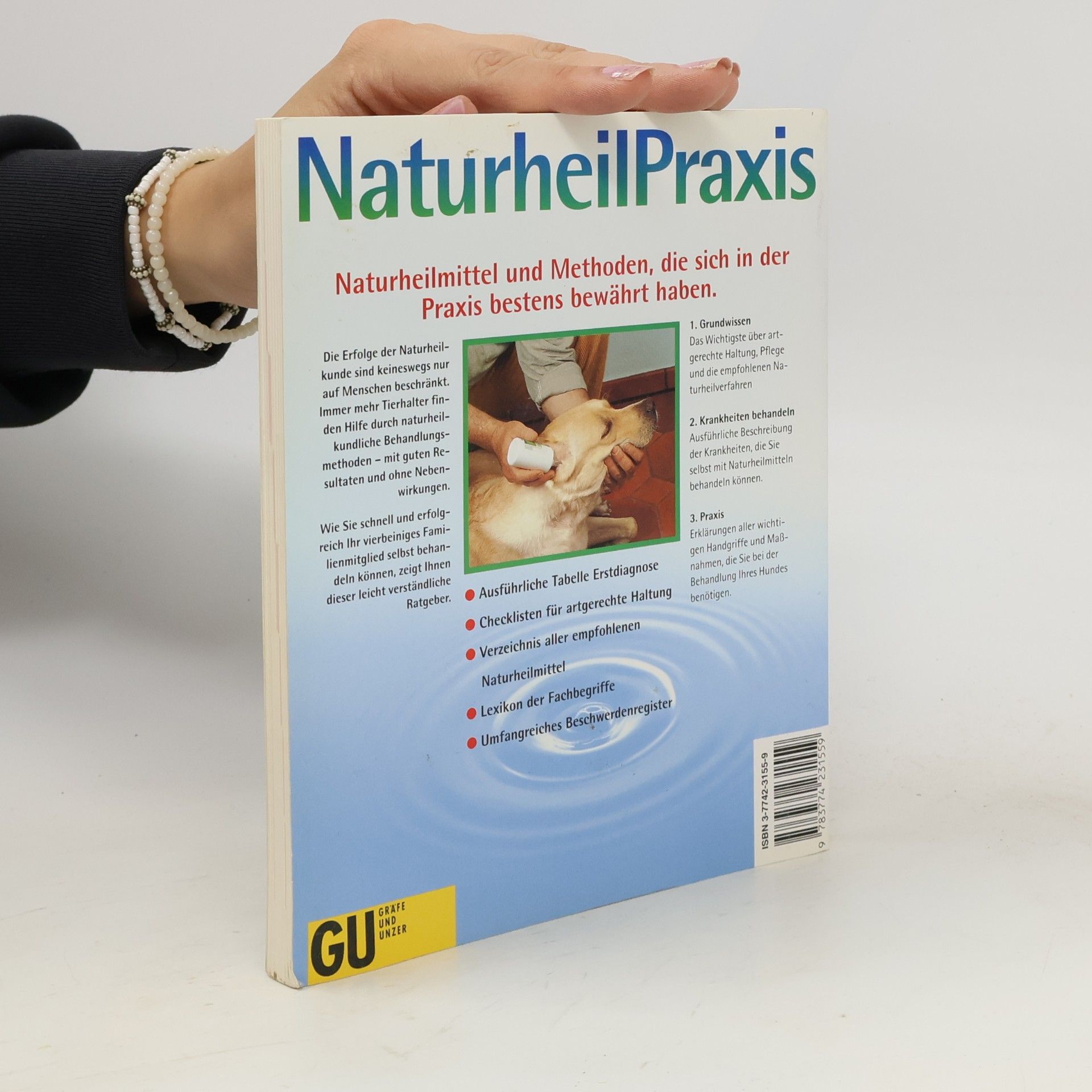 Petra Stein NaturheilPraxis Hunde