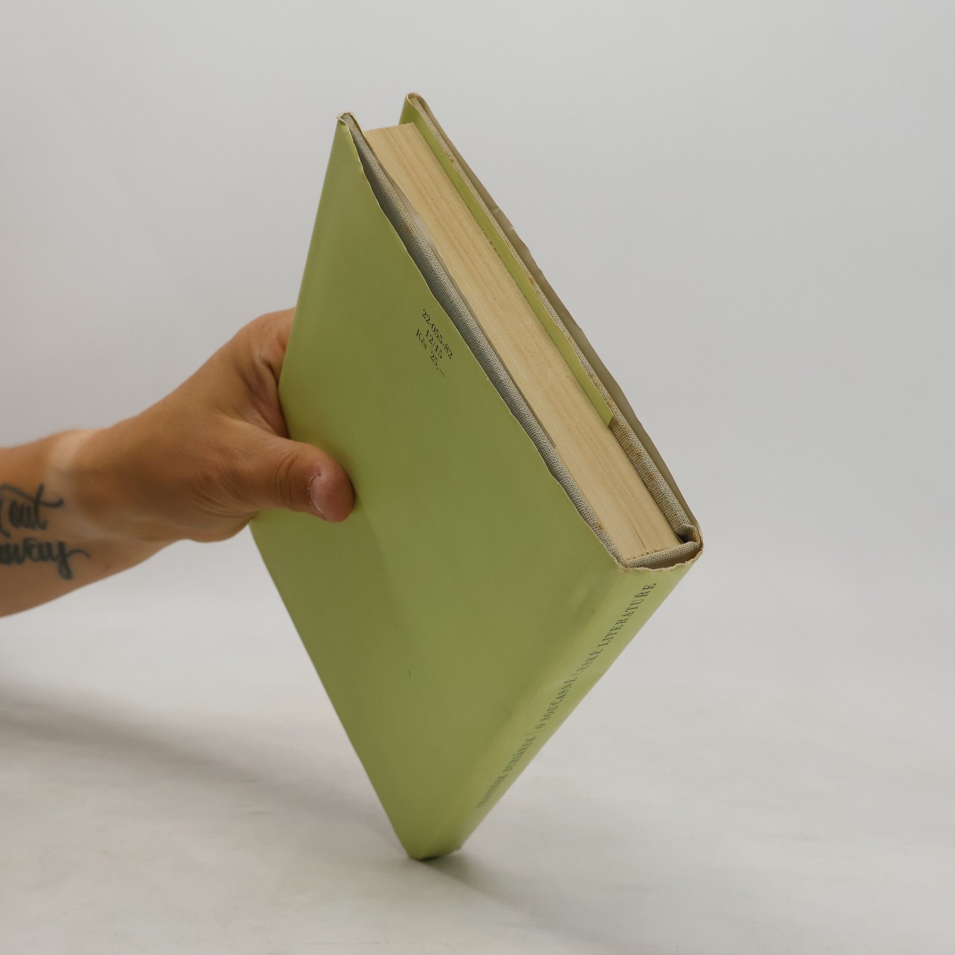 František Buriánek O současné české literatuře : výbor z kritických statí 1945-1980