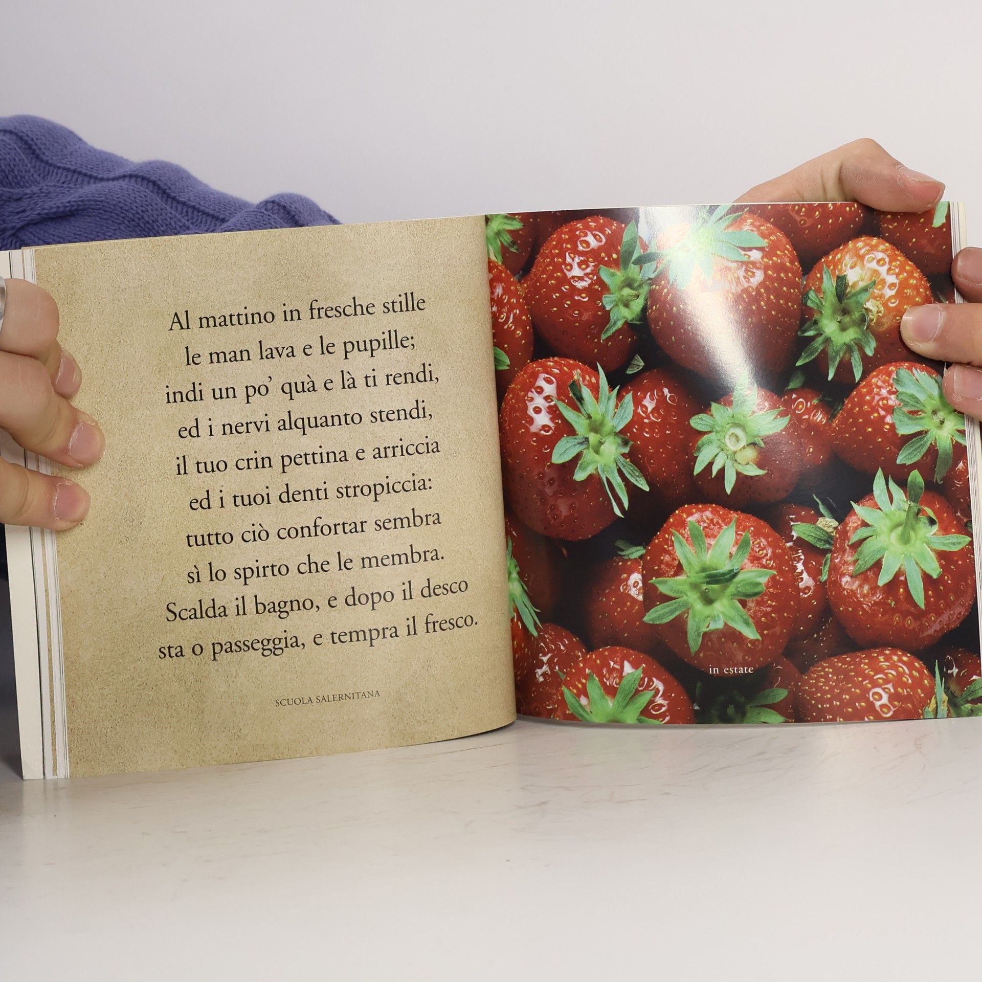 Autores varios Almanacco di Sapienza, di Gola, d'Allegria