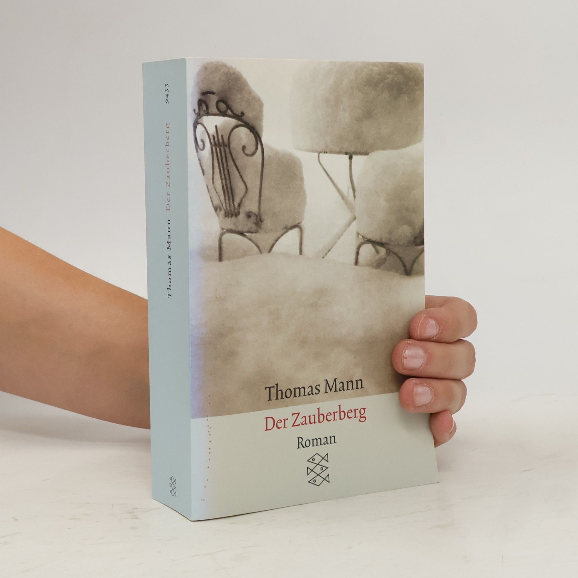 Thomas Mann Der Zauberberg