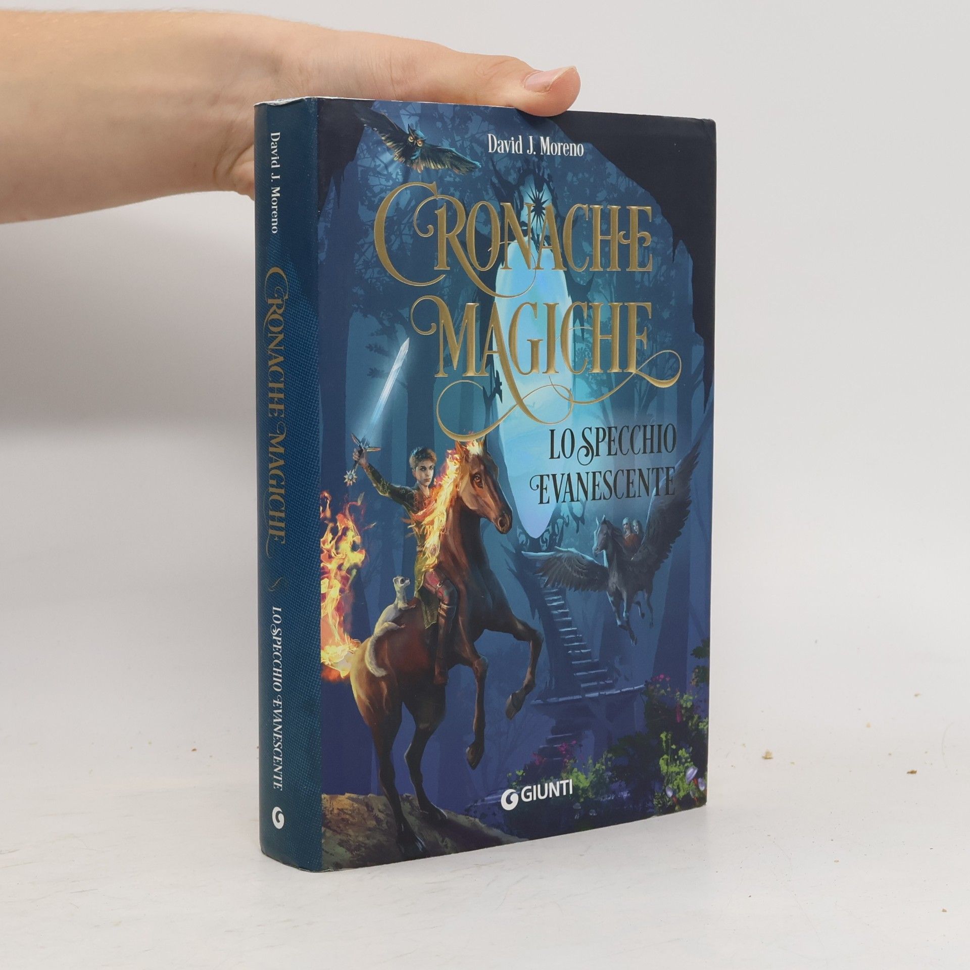 David J. Moreno Lo specchio evanescente. Cronache magiche