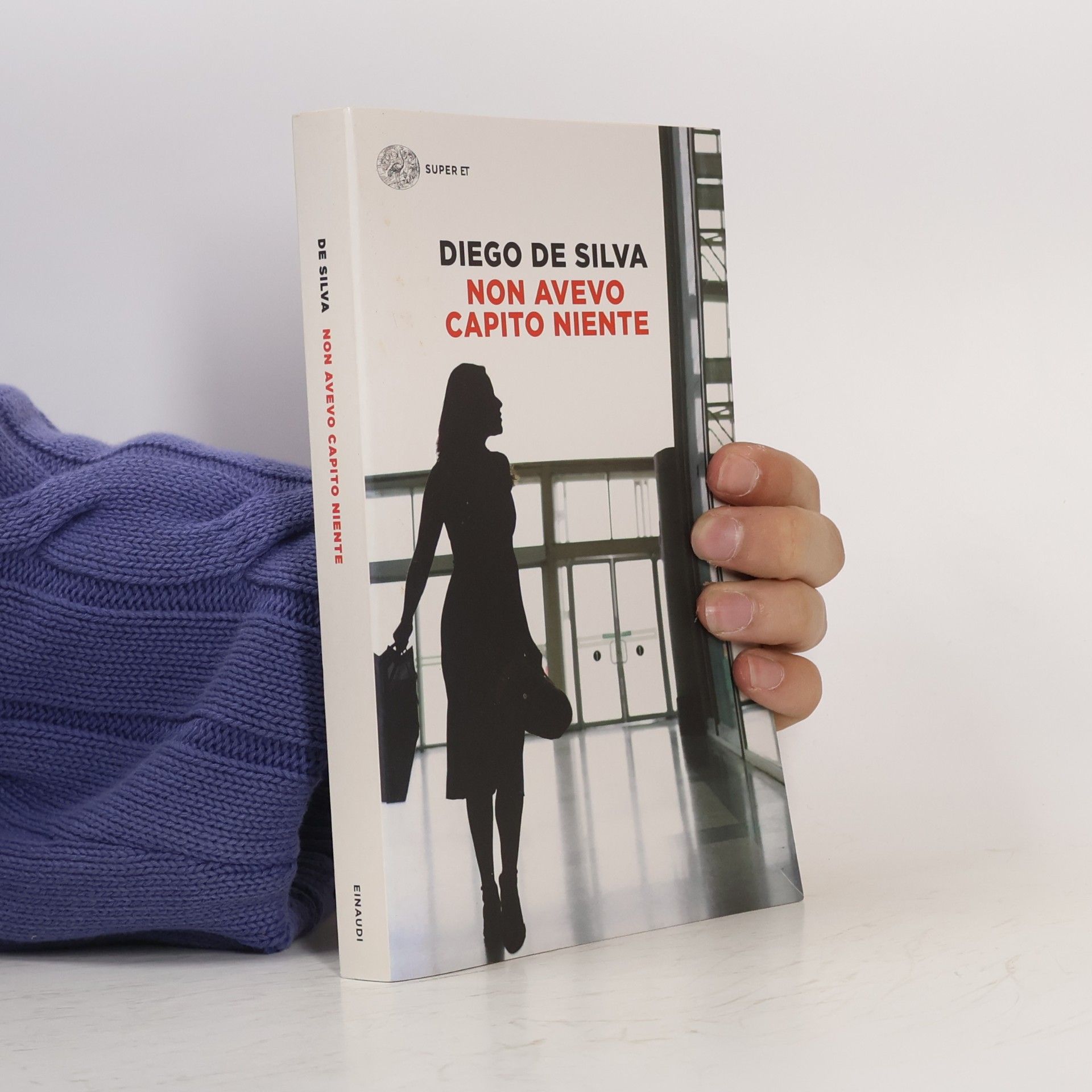 Diego De Silva Non avevo capito niente