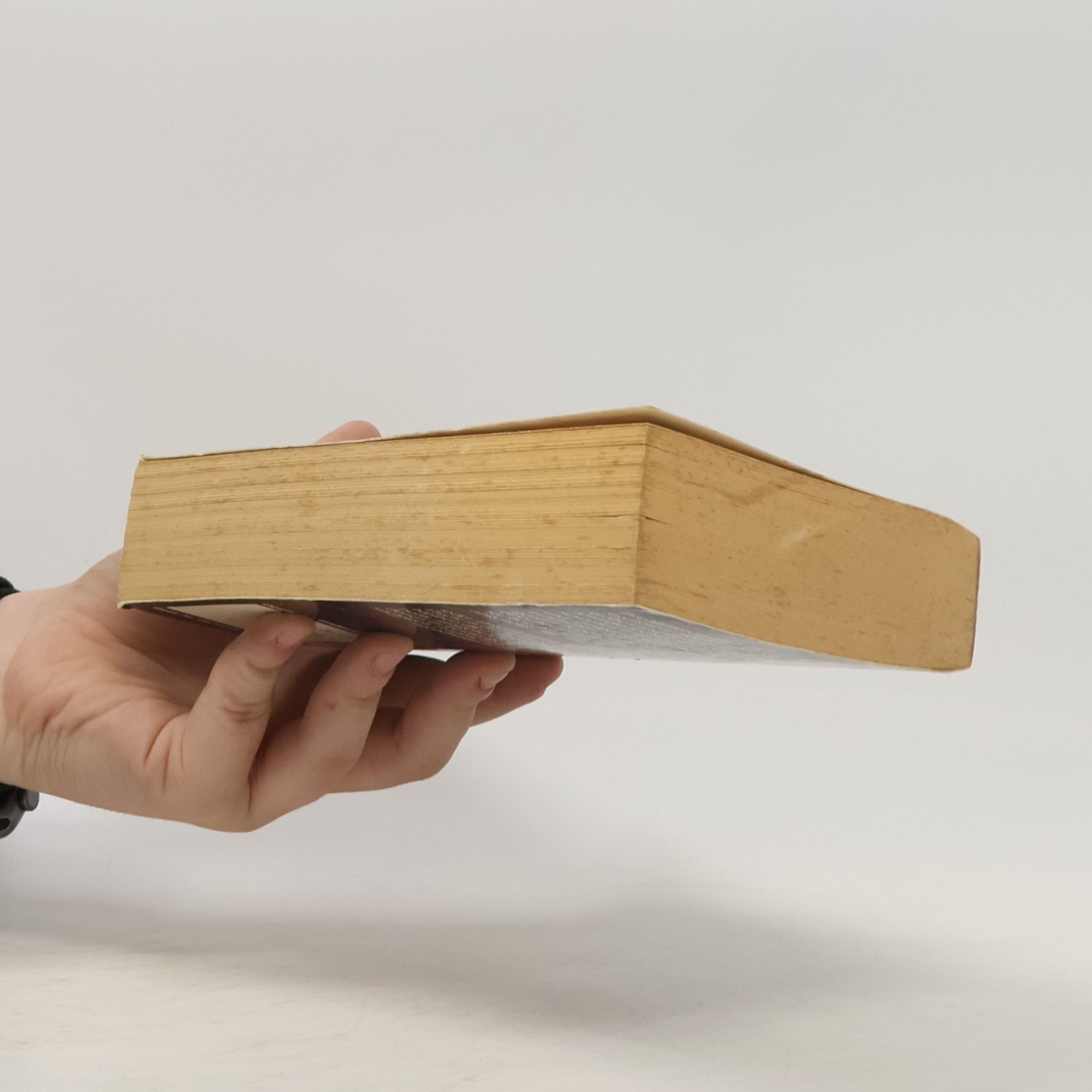 Jane Gaskell Die Länder des Sommers