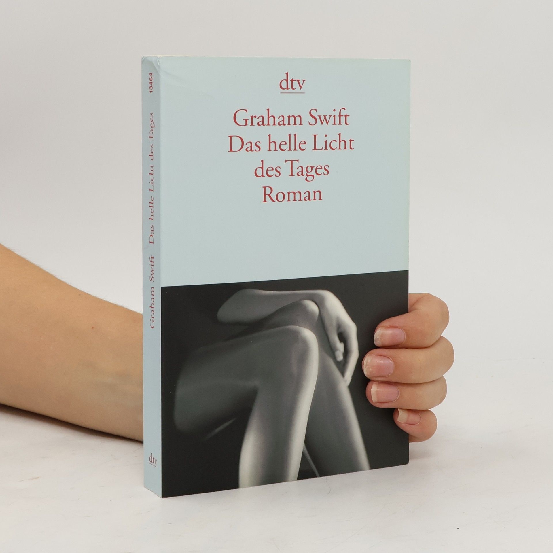 Graham Swift Das helle Licht des Tages