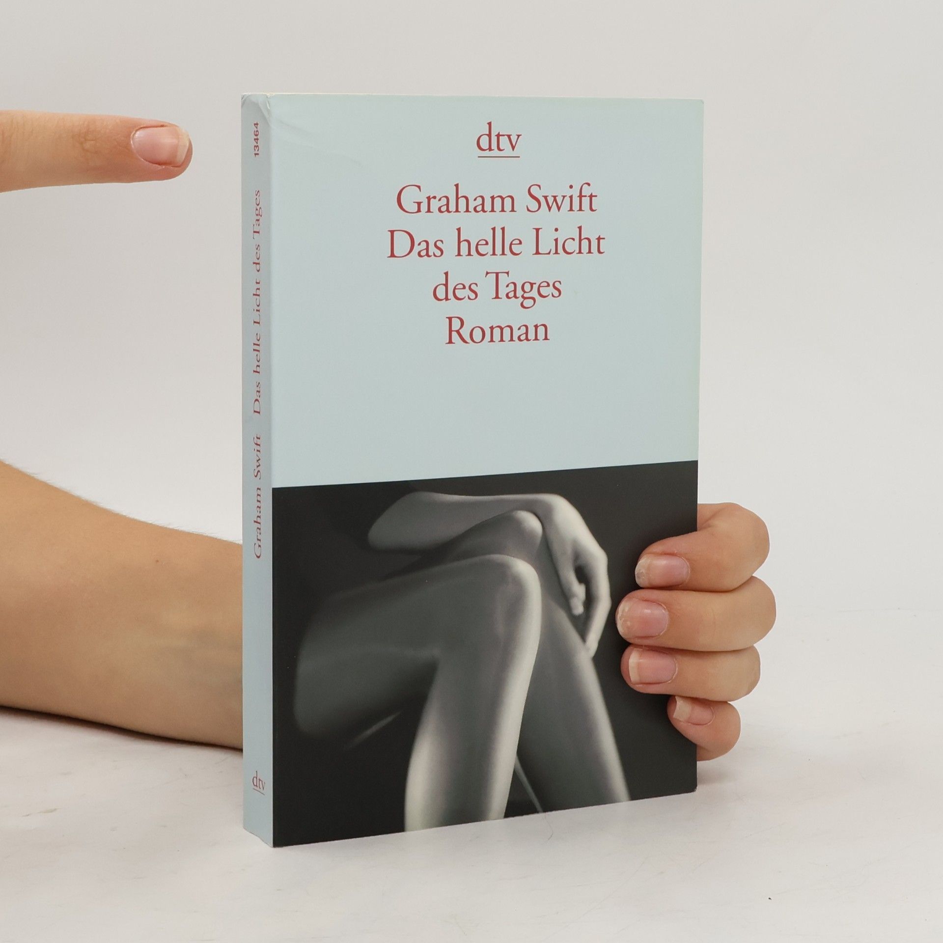Graham Swift Das helle Licht des Tages