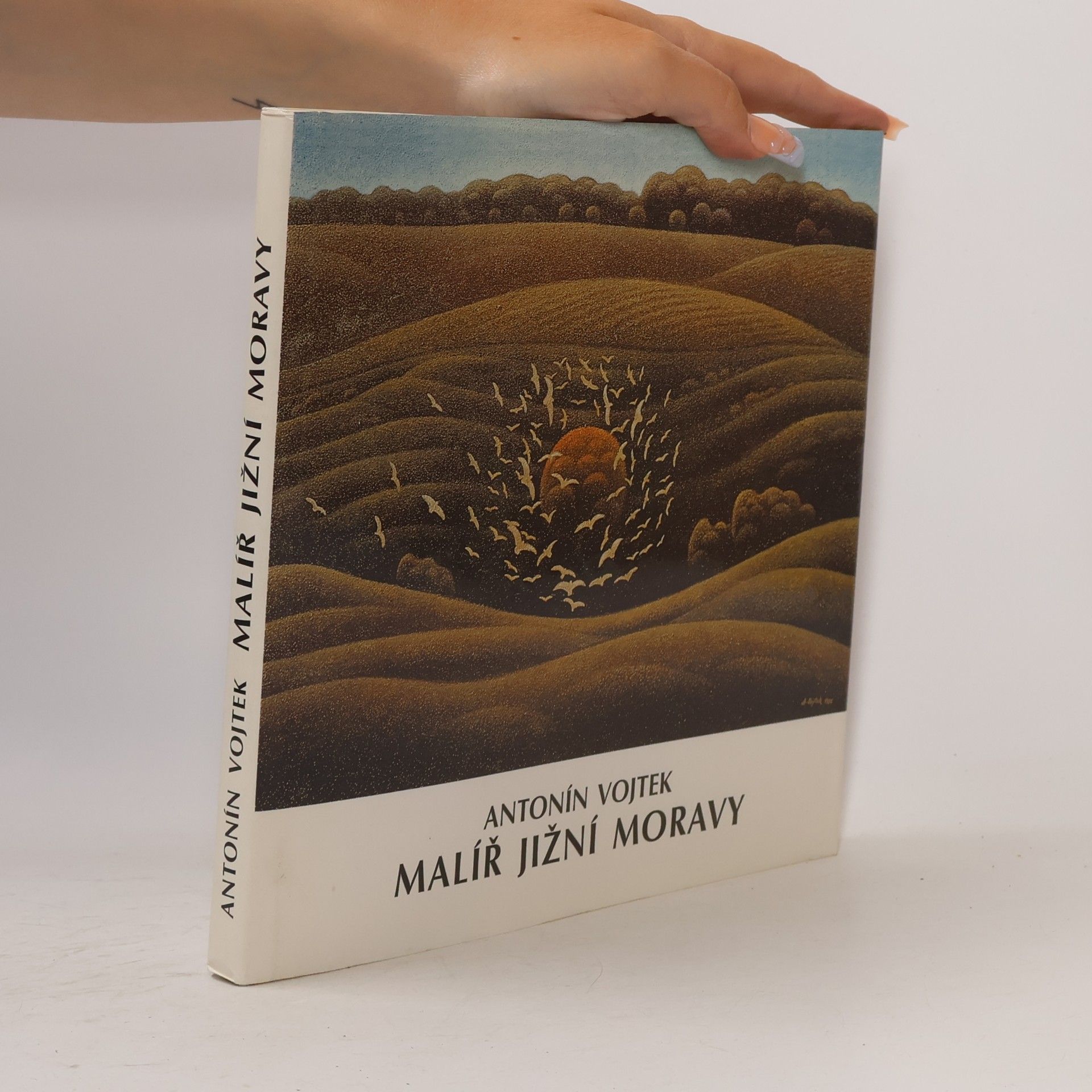 Nina Dvořáková Malíř jižní Moravy