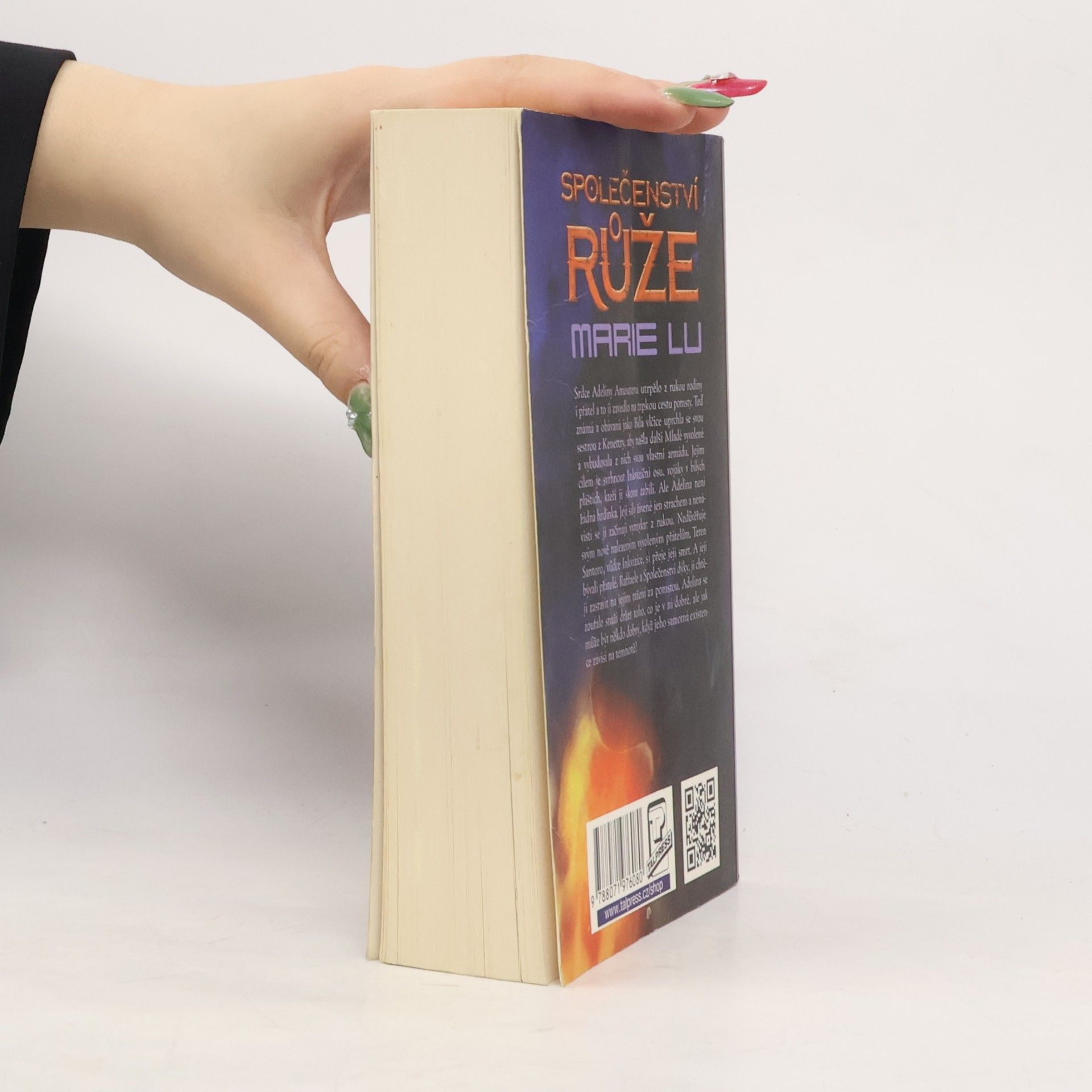Marie Lu Společenství růže