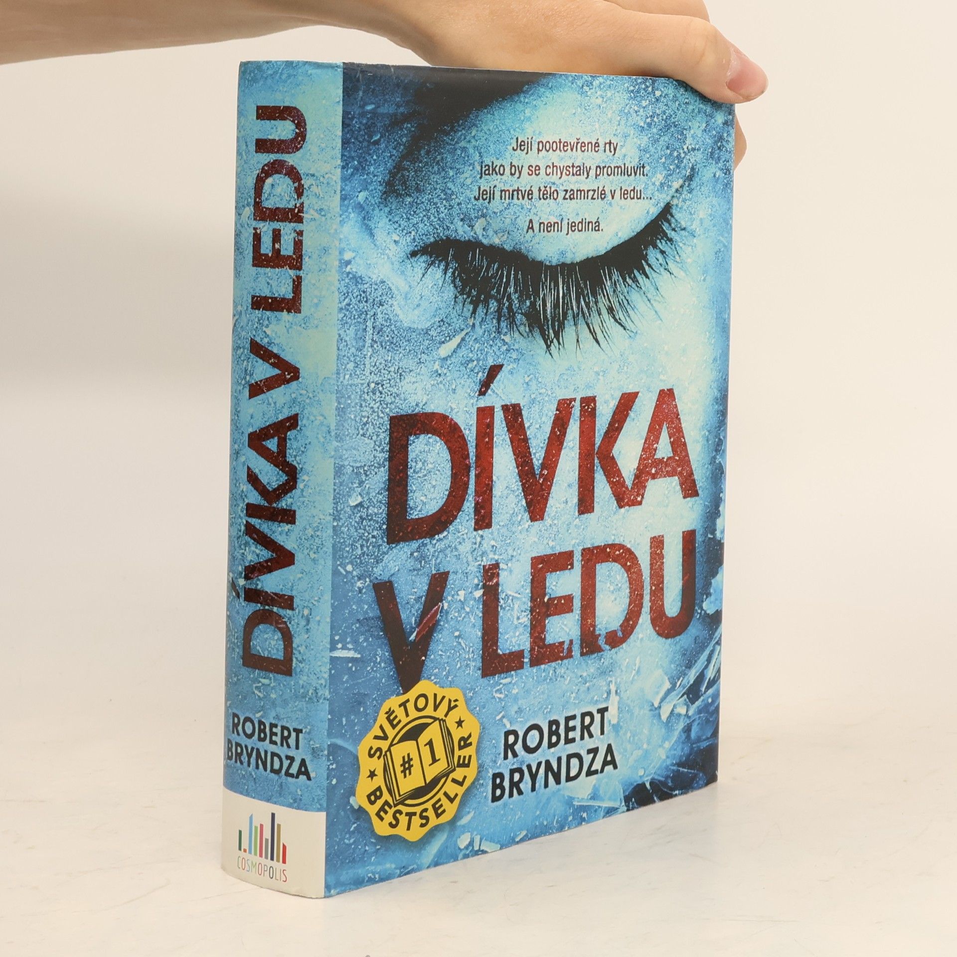 Robert Bryndza Dívka v ledu