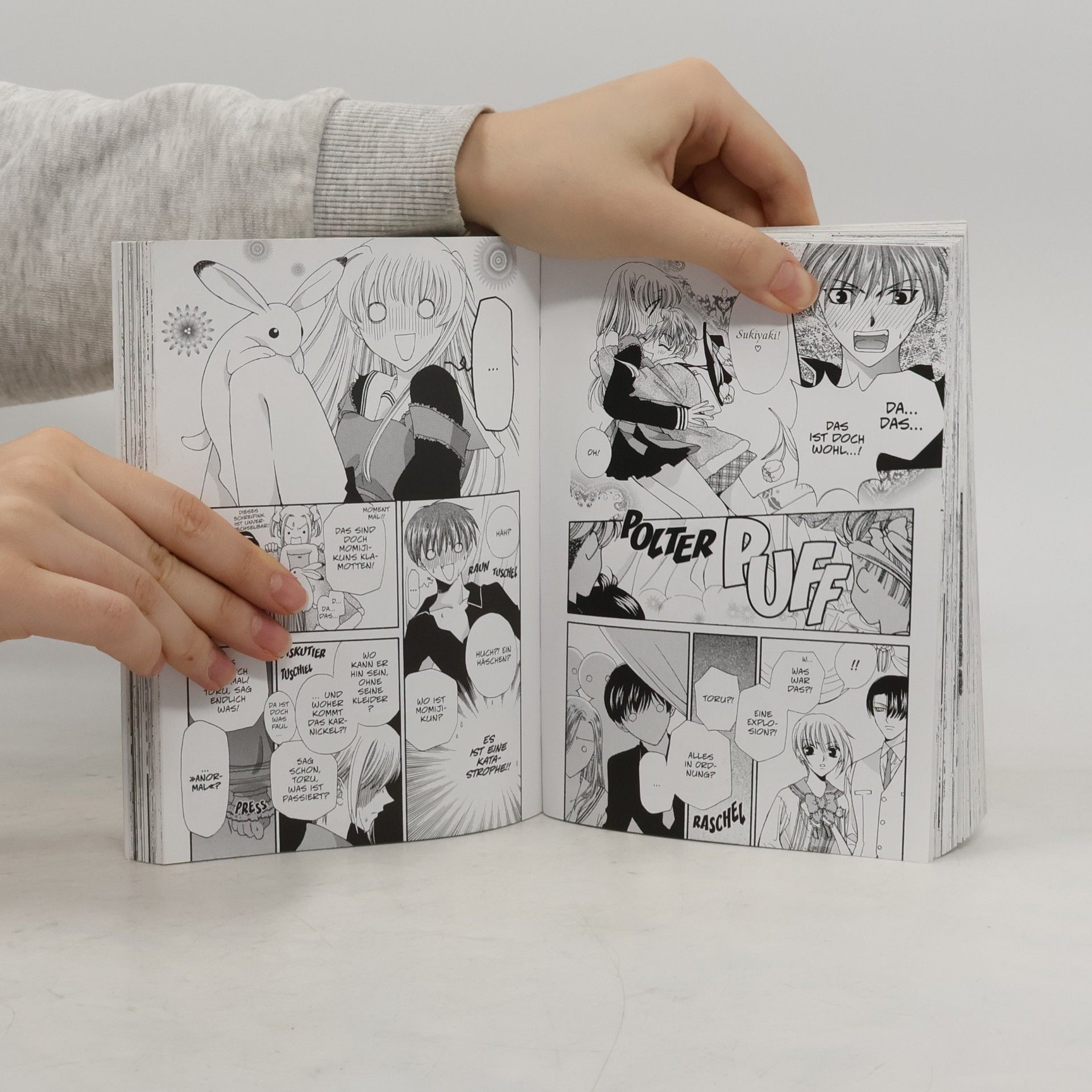 Natsuki Takaya Fruits basket 1