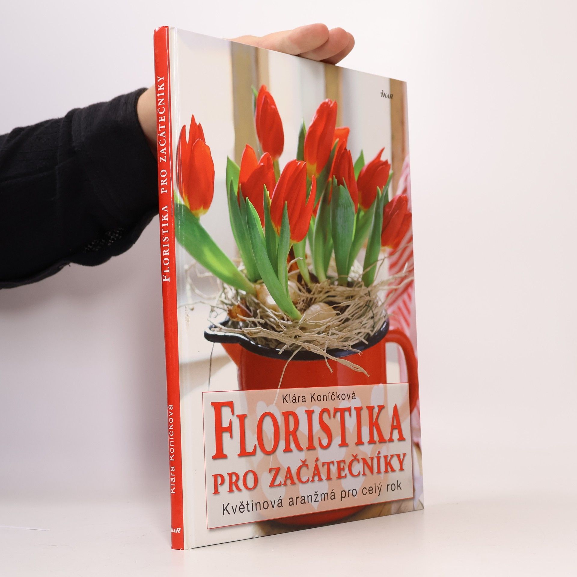 Floristika pro začátečníky. Květinová aranžmá pro celý rok
