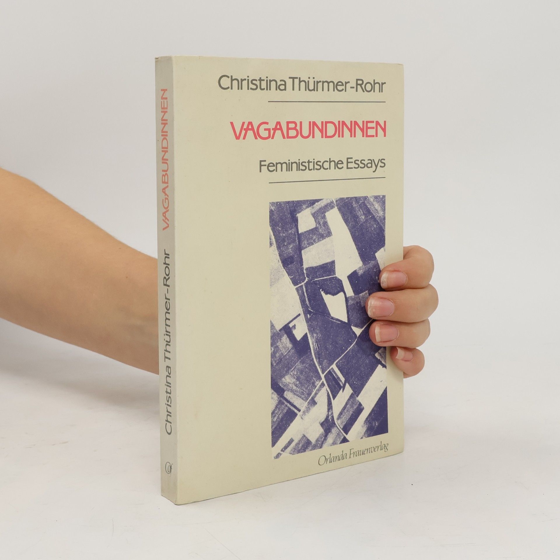 Christina ThuermerRohr Vagabundinnen: Feministische Essays.