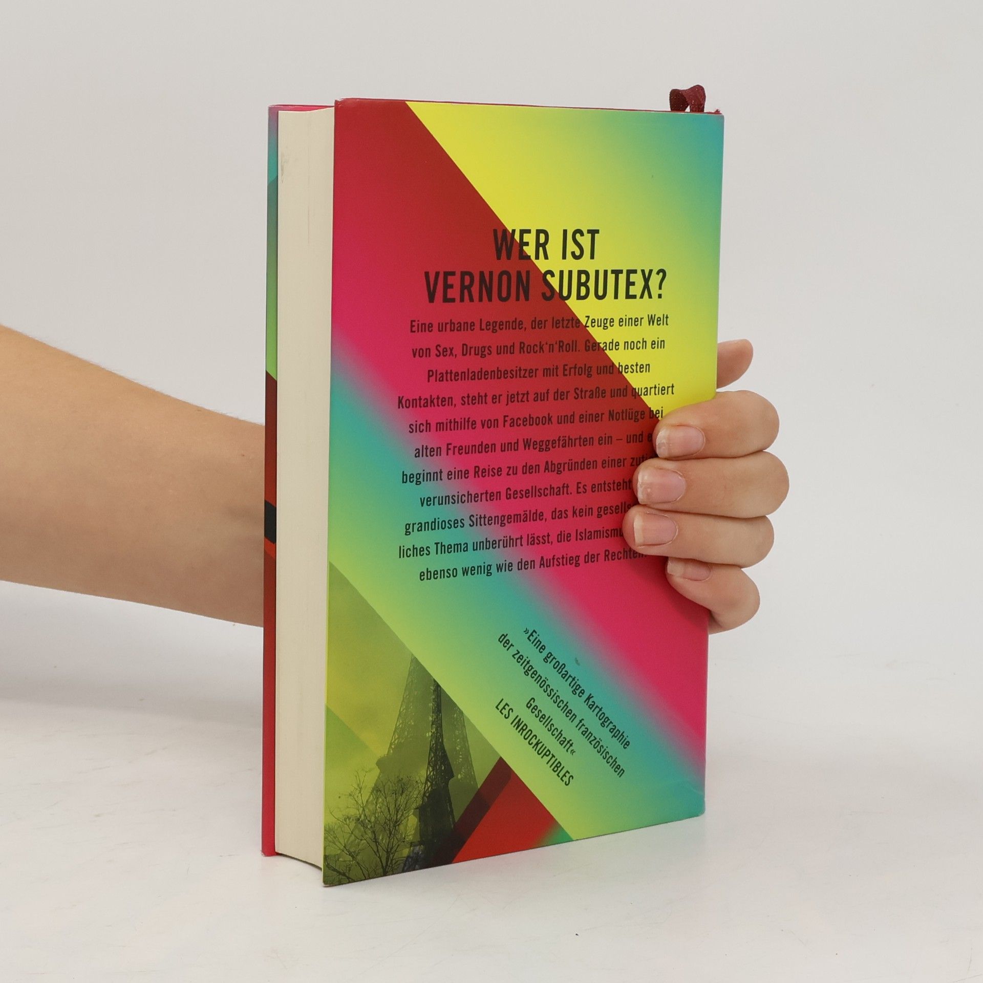 Virginie Despentes Das Leben des Vernon Subutex 1